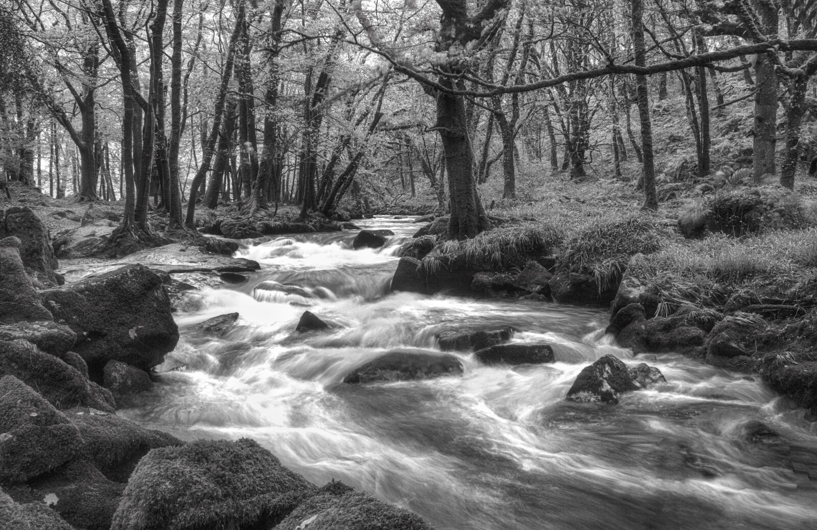 Canon EOS 400D (EOS Digital Rebel XTi / EOS Kiss Digital X) sample photo. Landscape, trees, water photography