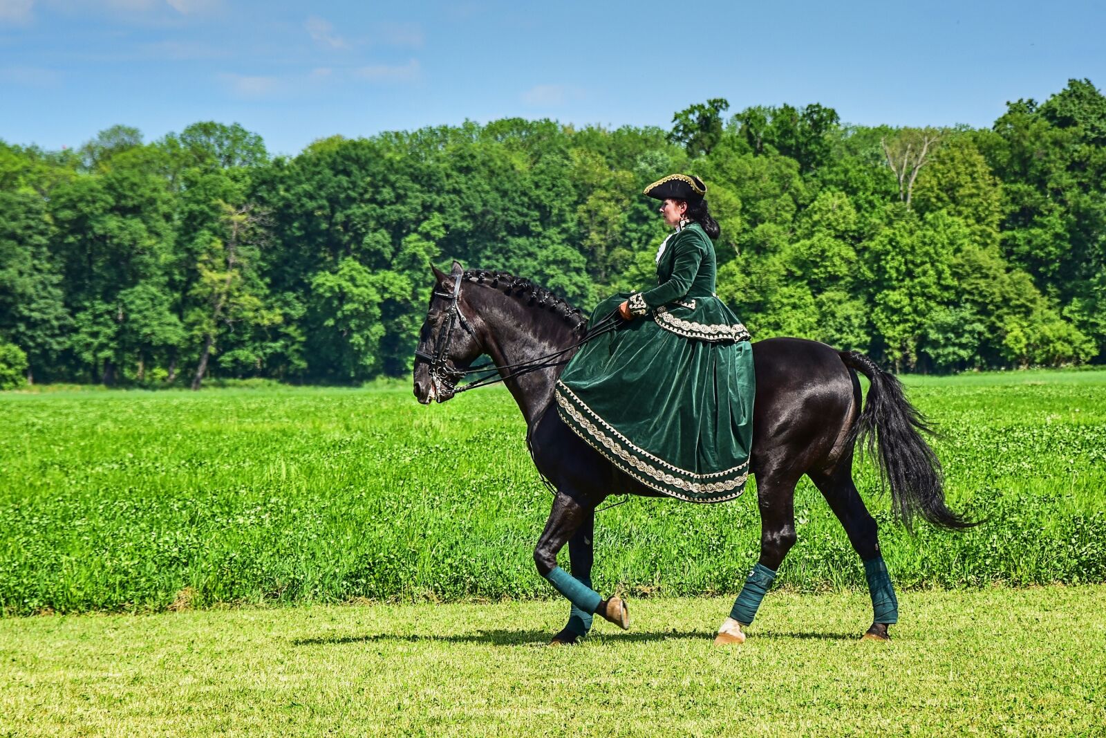 Nikon D5500 sample photo. Horse, lady, seat photography
