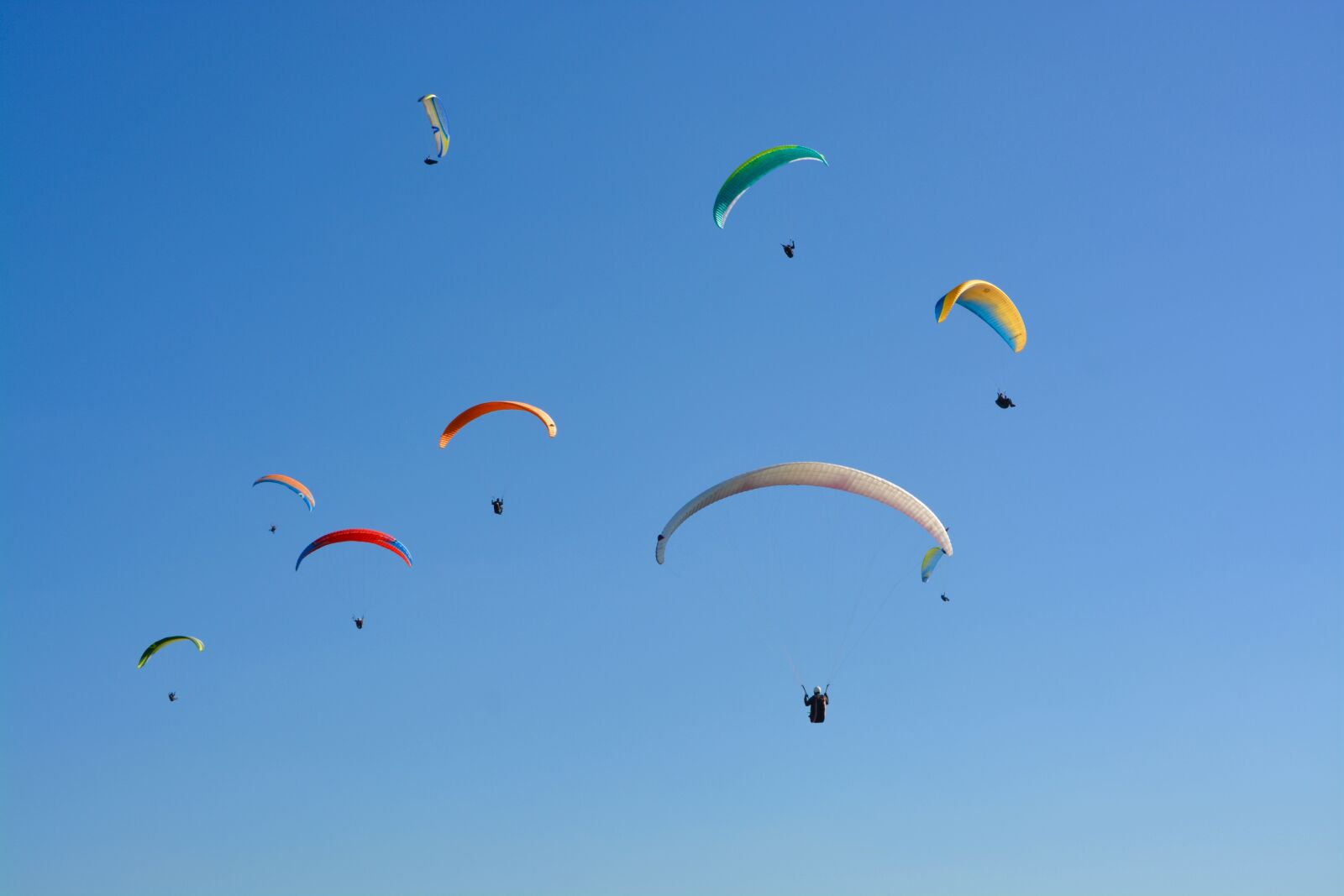Nikon D5200 sample photo. Paragliders paragliders, blue sky photography