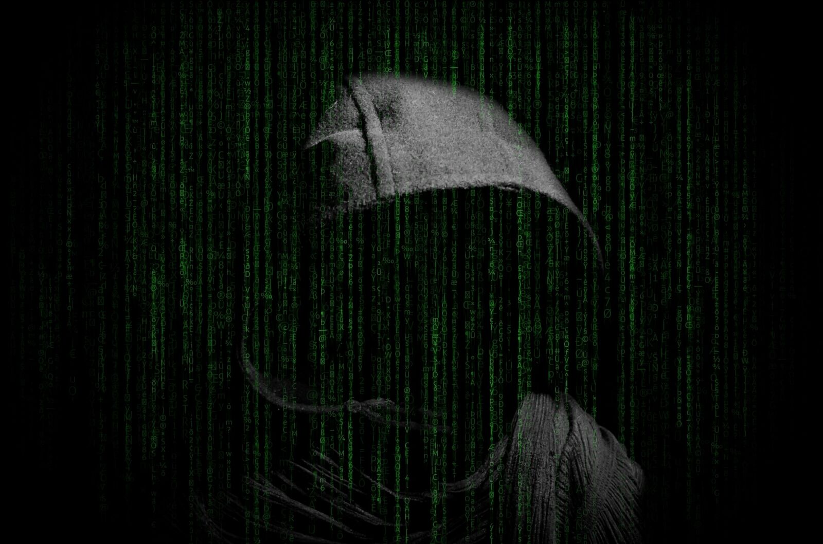 Nikon D5100 sample photo. Hacker, hacking, computer photography