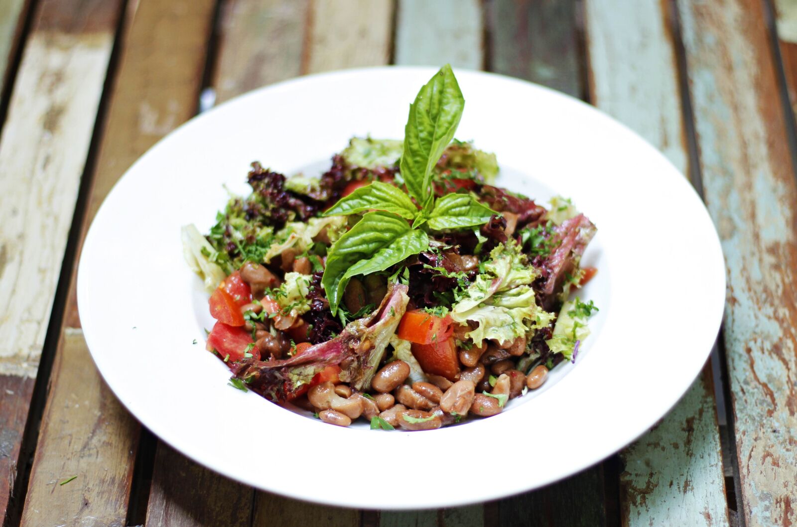 Canon EOS 600D (Rebel EOS T3i / EOS Kiss X5) + Canon EF 50mm F1.8 STM sample photo. Kidney bean, tomato, vegetable photography