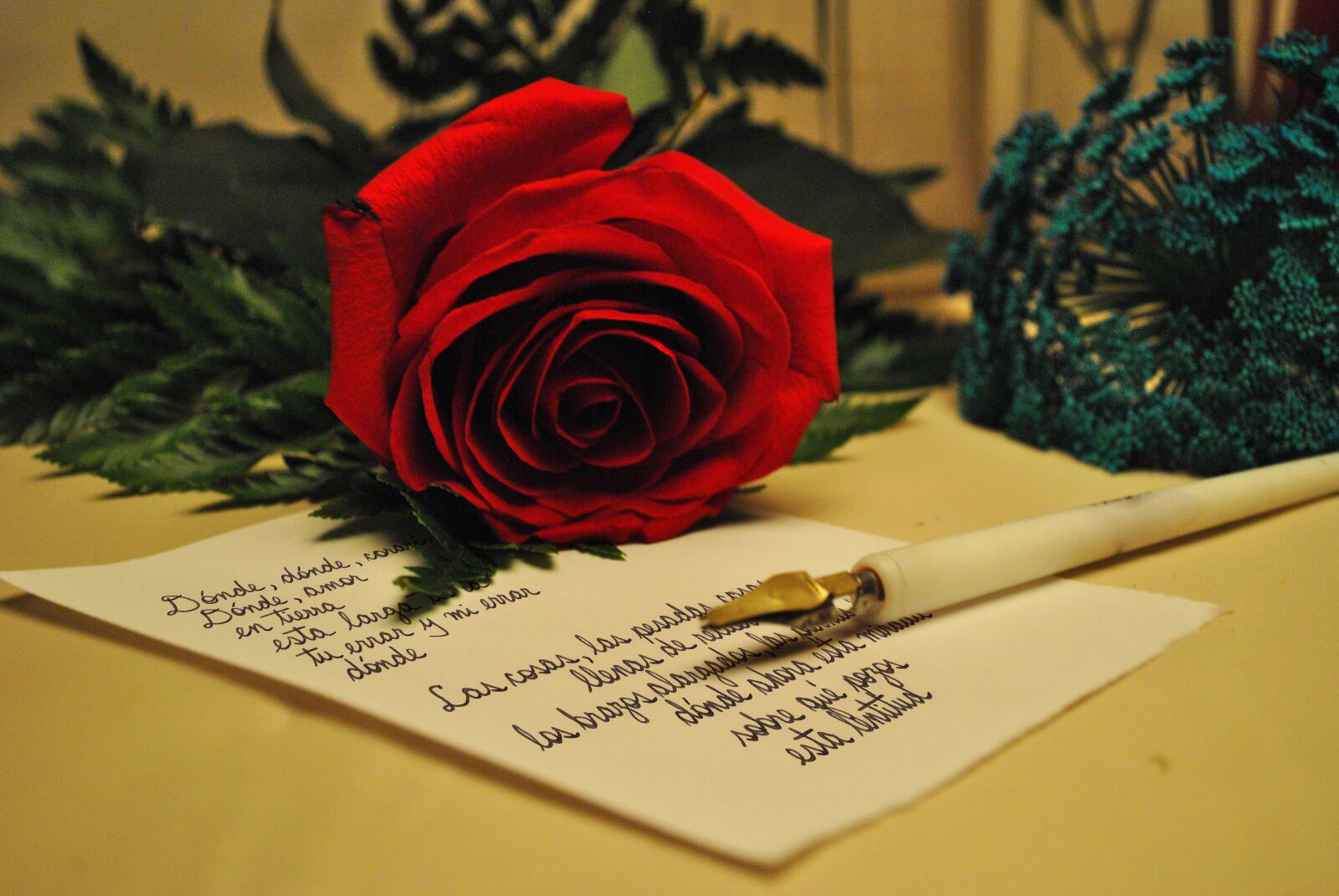 Nikon D3000 sample photo. Rose, letter, romantic photography