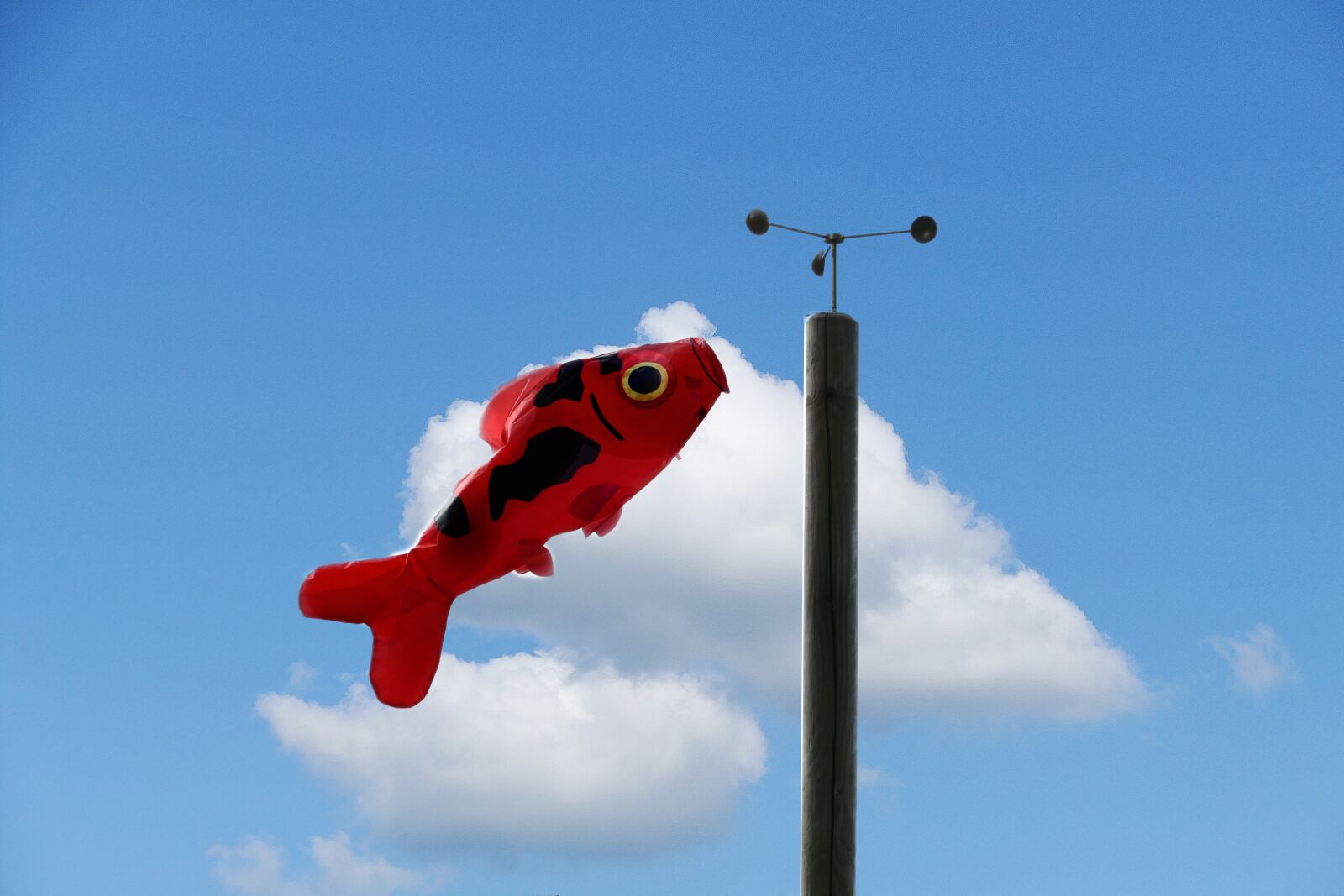 Panasonic Lumix DMC-FZ1000 sample photo. Wind, windsock, blowing photography