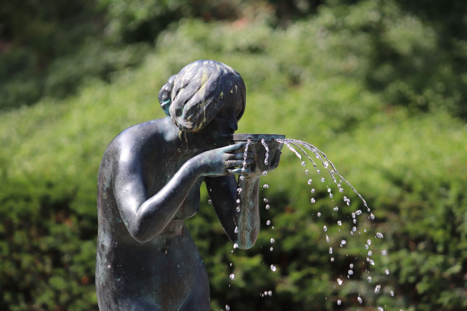 Canon EOS 77D (EOS 9000D / EOS 770D) + Canon EF-S 55-250mm F4-5.6 IS sample photo. Water, sculpture, fountain photography