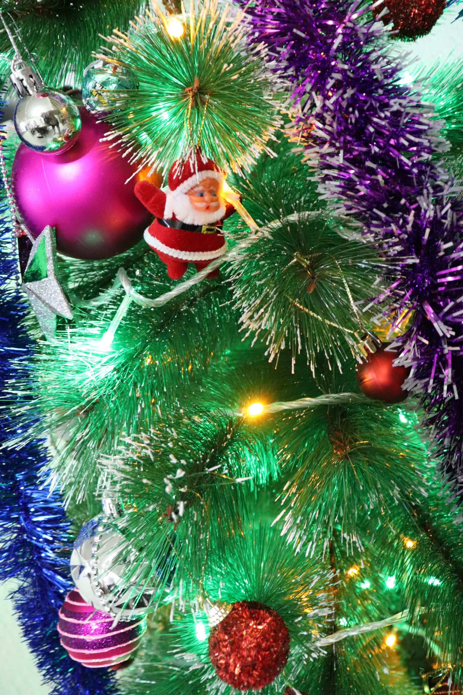 Canon EOS 200D (EOS Rebel SL2 / EOS Kiss X9) sample photo. Christmas, end of the photography
