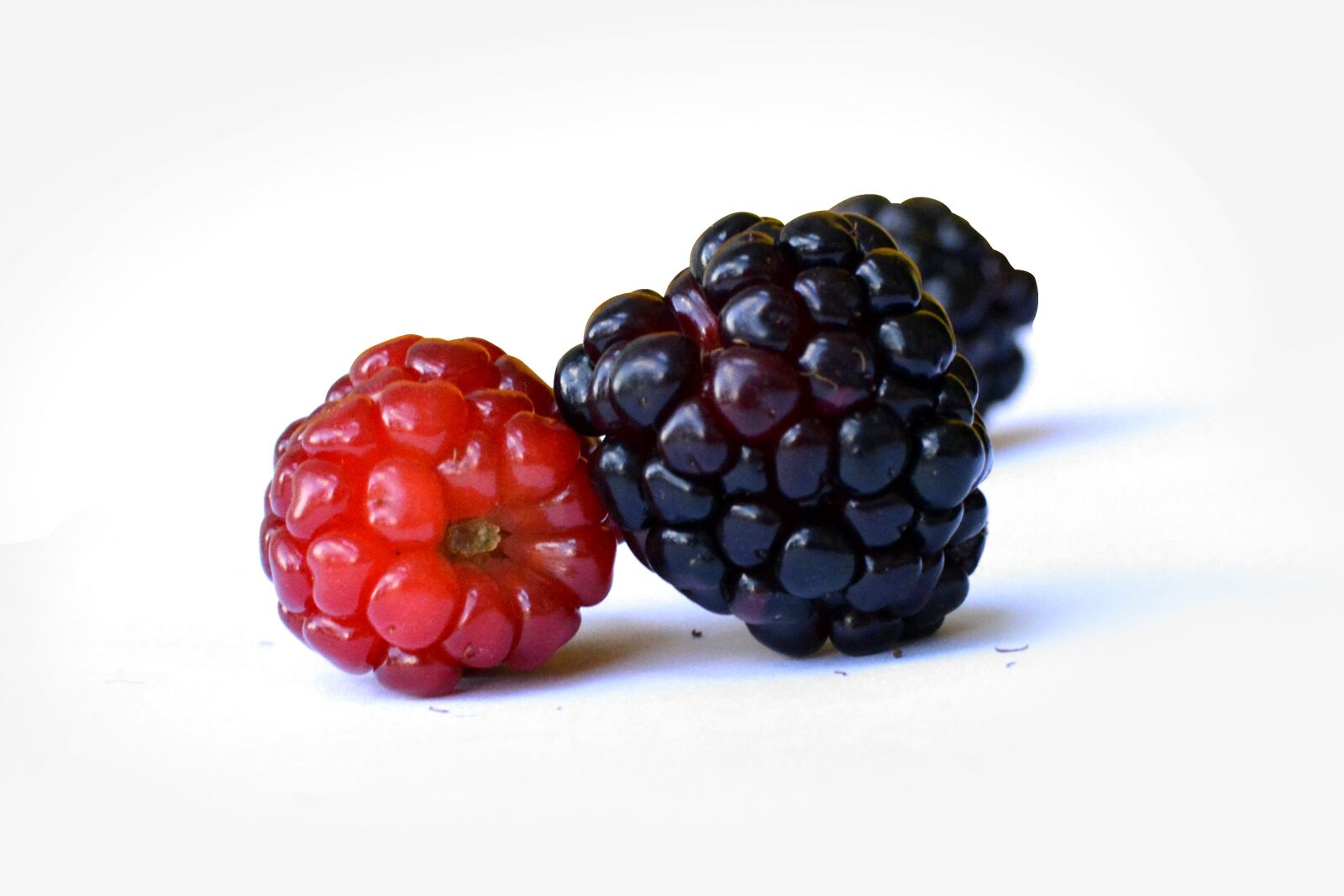 Nikon D5200 sample photo. Mulberry, fruit, wild fruits photography