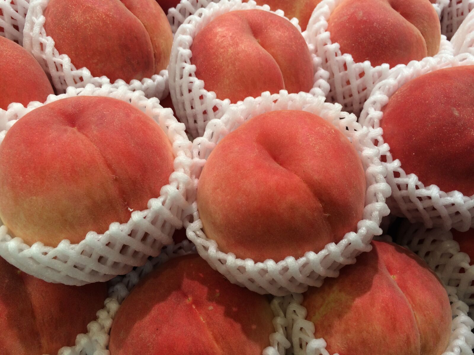 iPhone 5s back camera 4.15mm f/2.2 sample photo. Peach, pink, cushion material photography