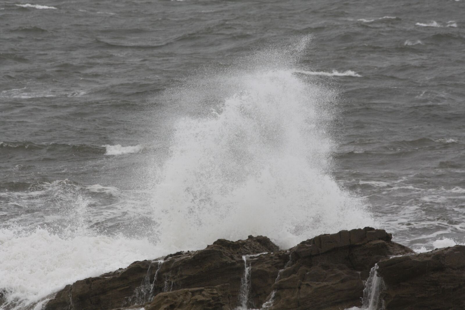 Canon EOS 450D (EOS Rebel XSi / EOS Kiss X2) sample photo. Wind, waves, sea photography