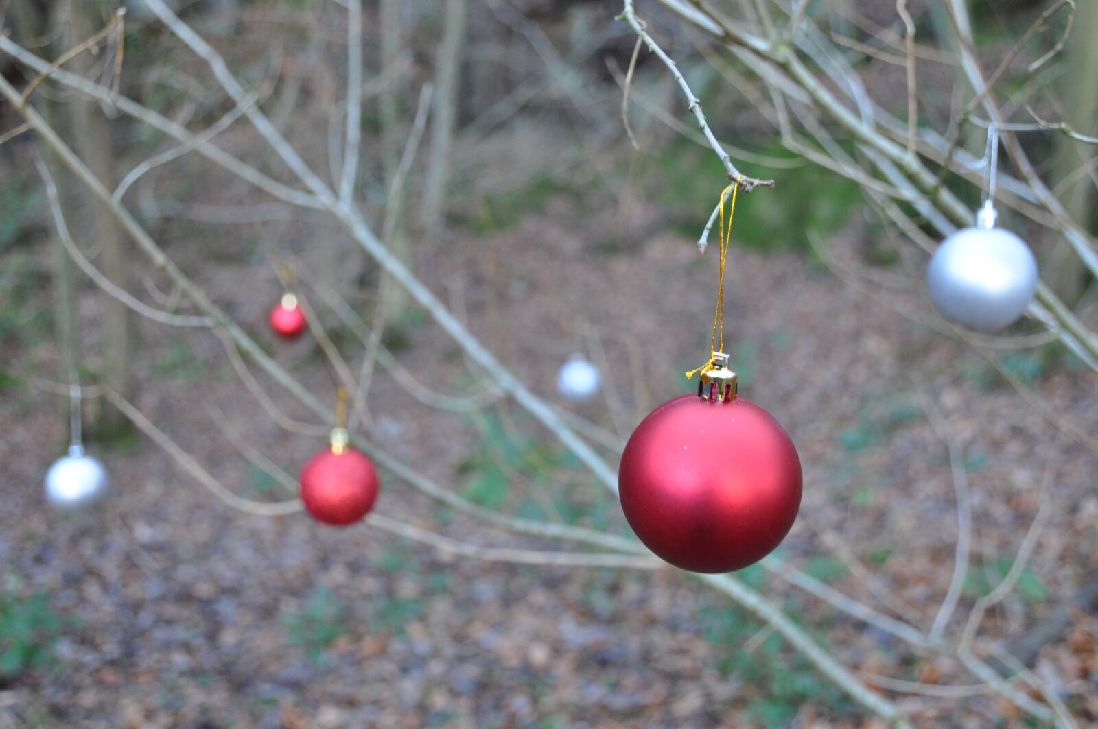 Nikon D5000 sample photo. Weird, baubles, christmas photography