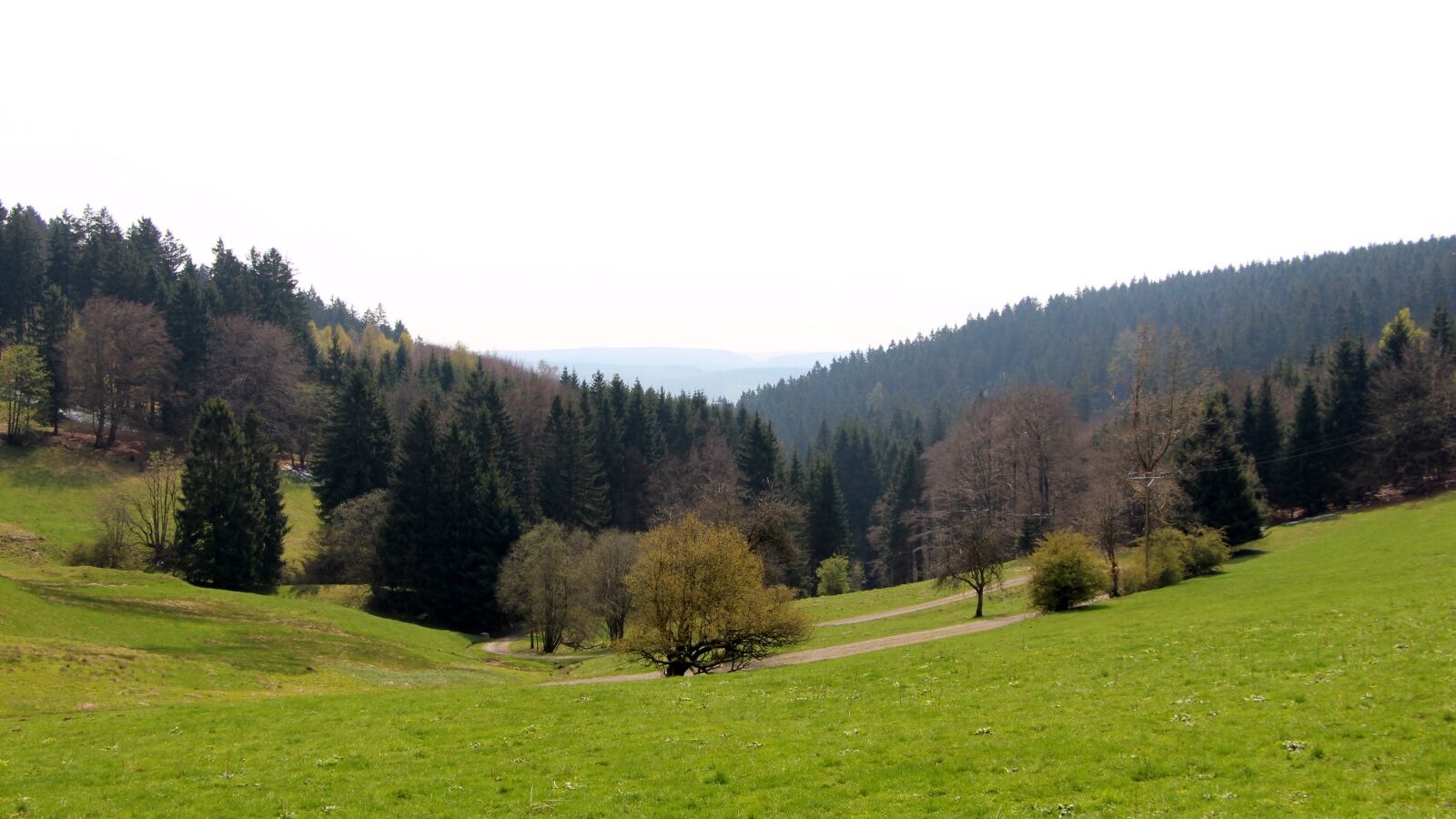 Canon EOS 700D (EOS Rebel T5i / EOS Kiss X7i) sample photo. Forest, meadow, sky photography