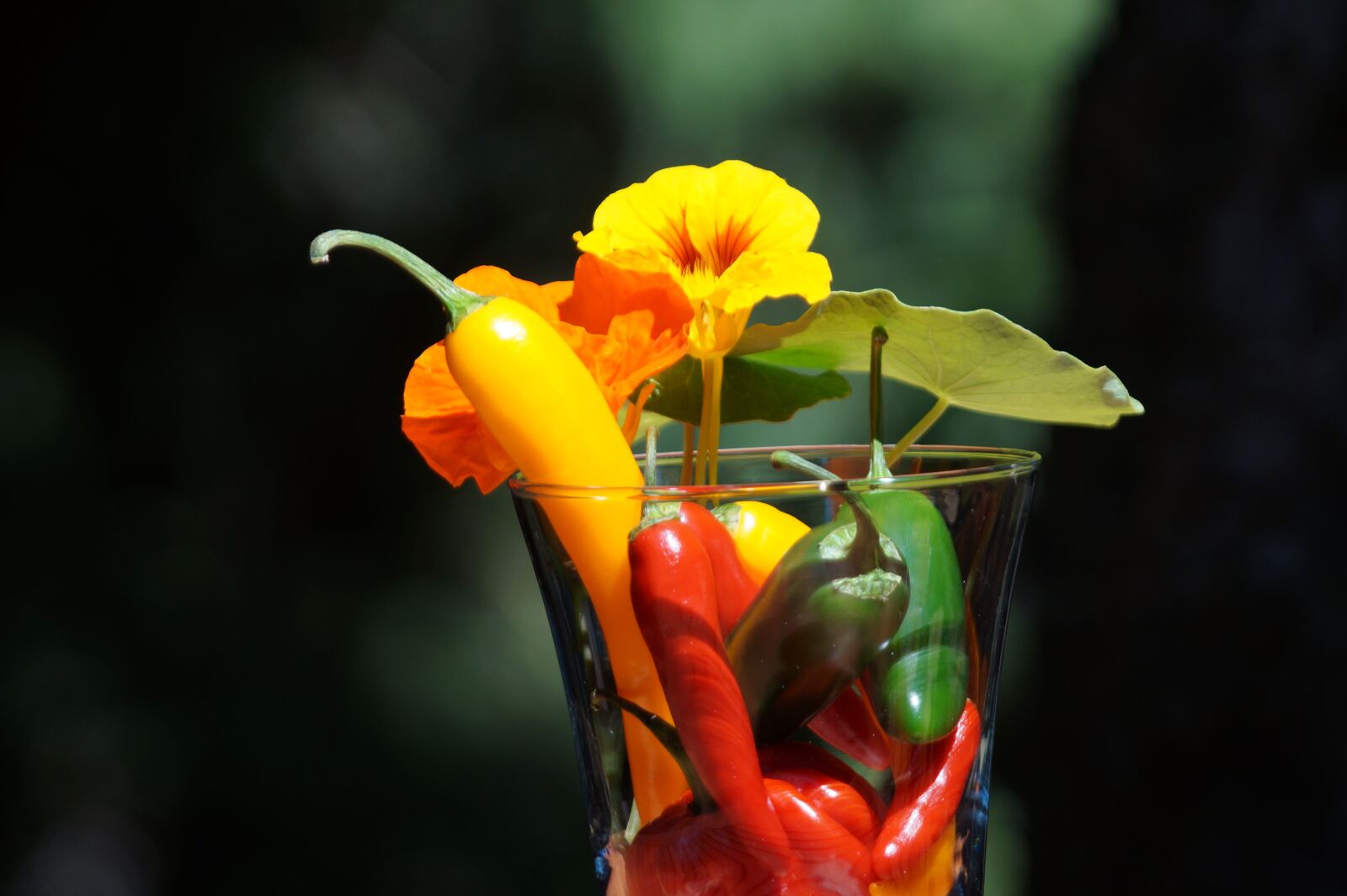 Sony SLT-A58 sample photo. Paprika, sharp, pepperoni photography