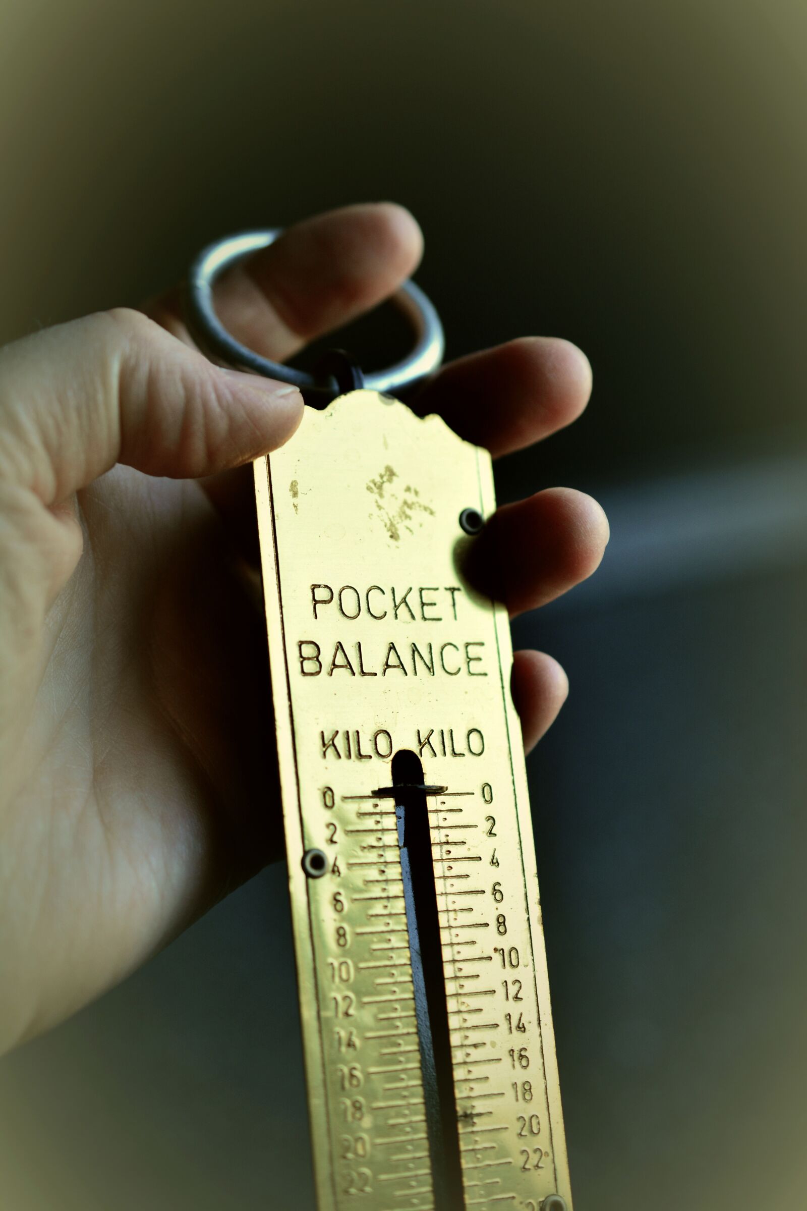 Nikon D5200 sample photo. Hand balance, weight, kilo photography