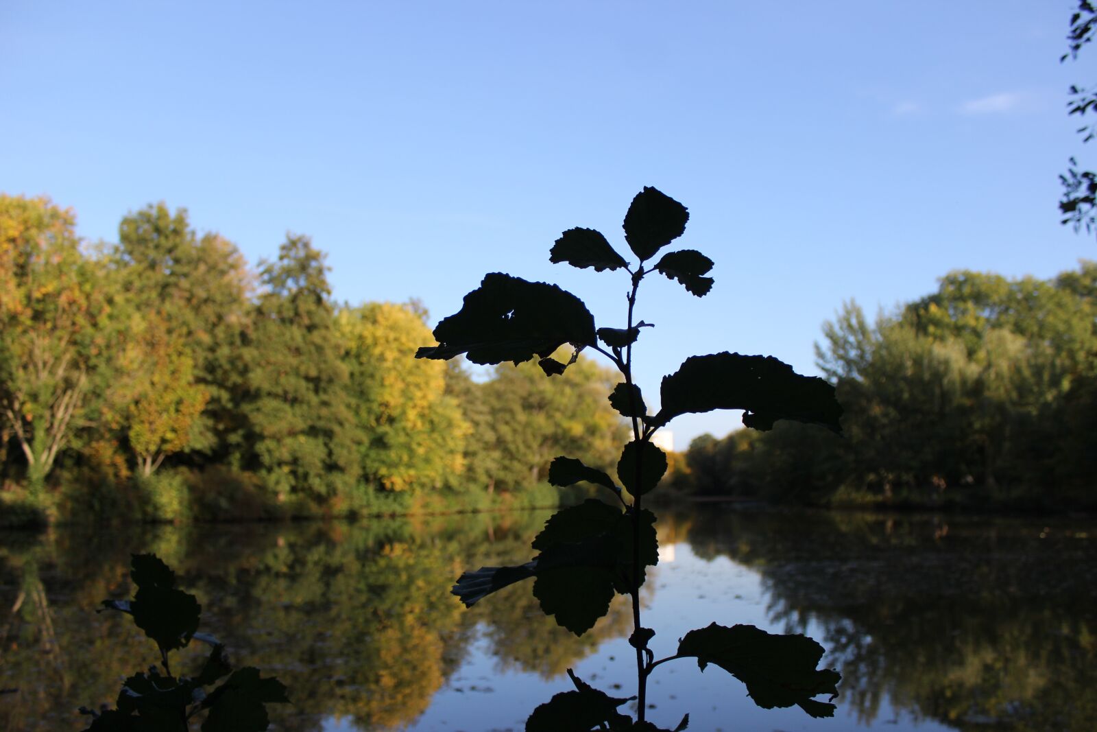 Canon EOS 600D (Rebel EOS T3i / EOS Kiss X5) sample photo. Bremen, vahr, berlin freedom photography