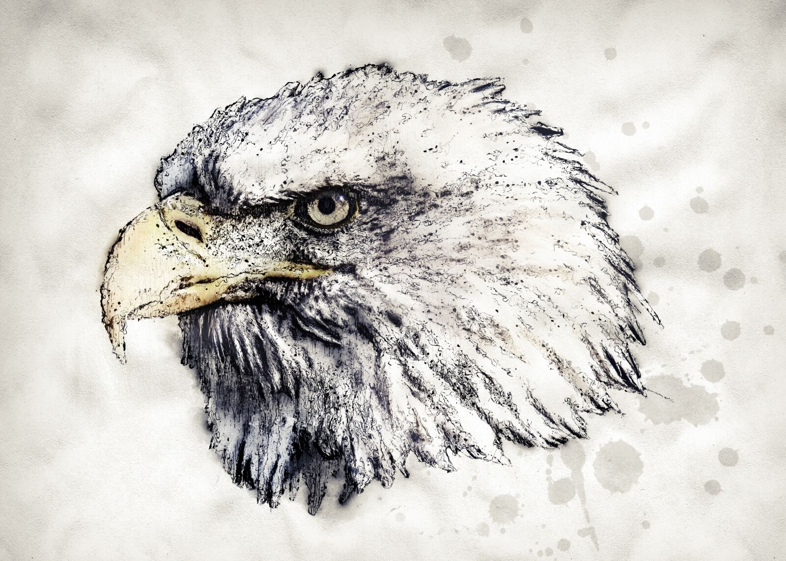 Olympus E-3 sample photo. Adler, white tailed eagle photography
