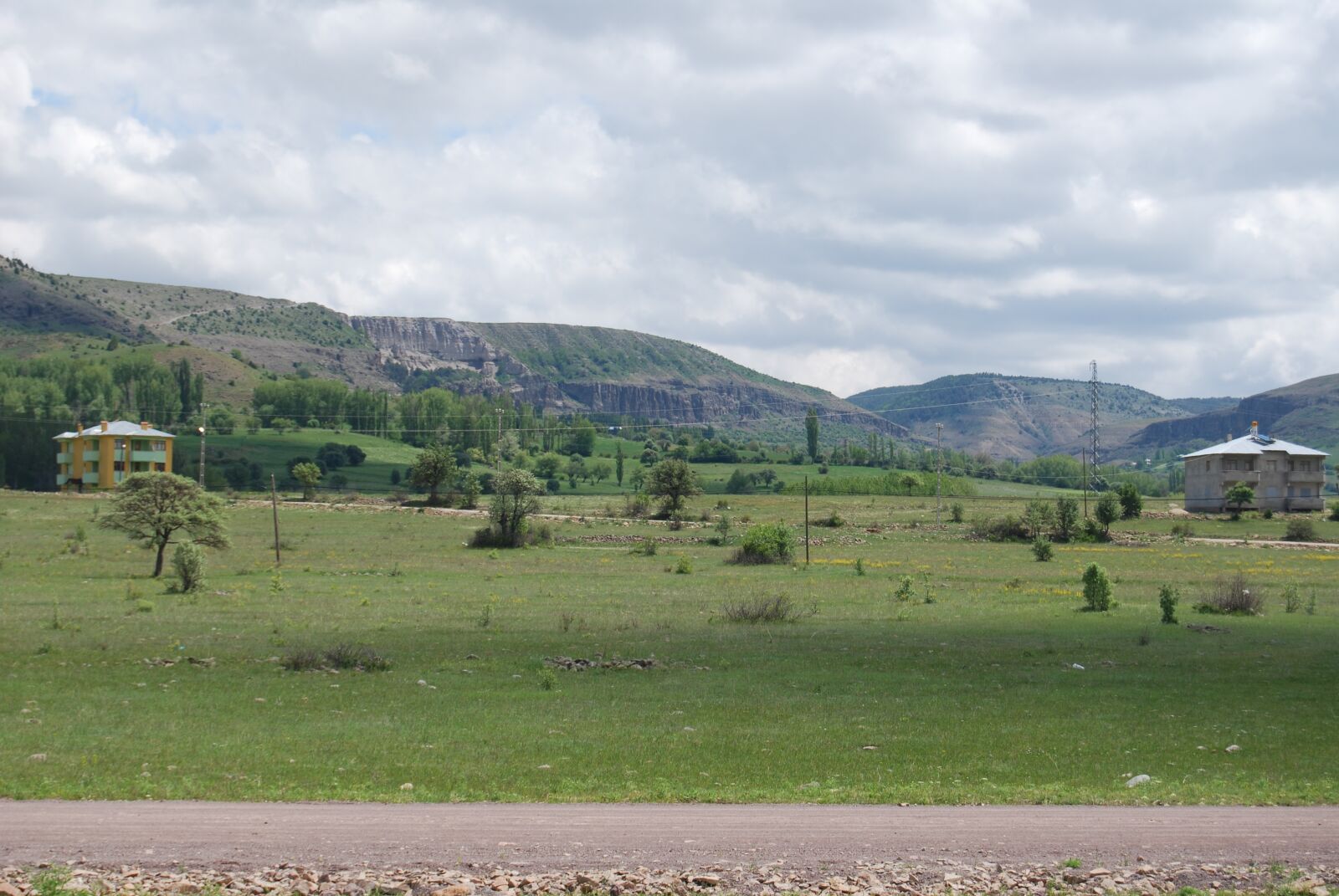 Nikon D60 sample photo. Green, road, landscape photography