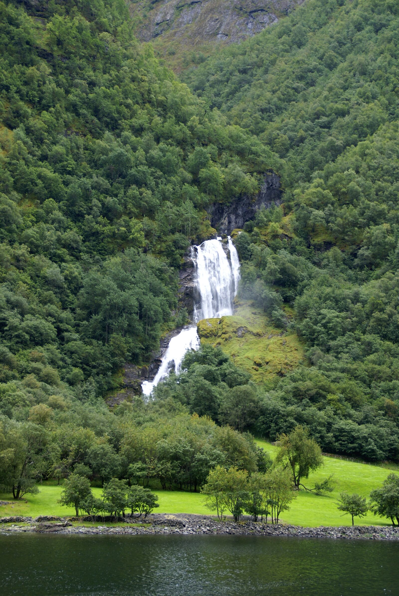 Sony Alpha DSLR-A100 sample photo. Nature, water, tree photography