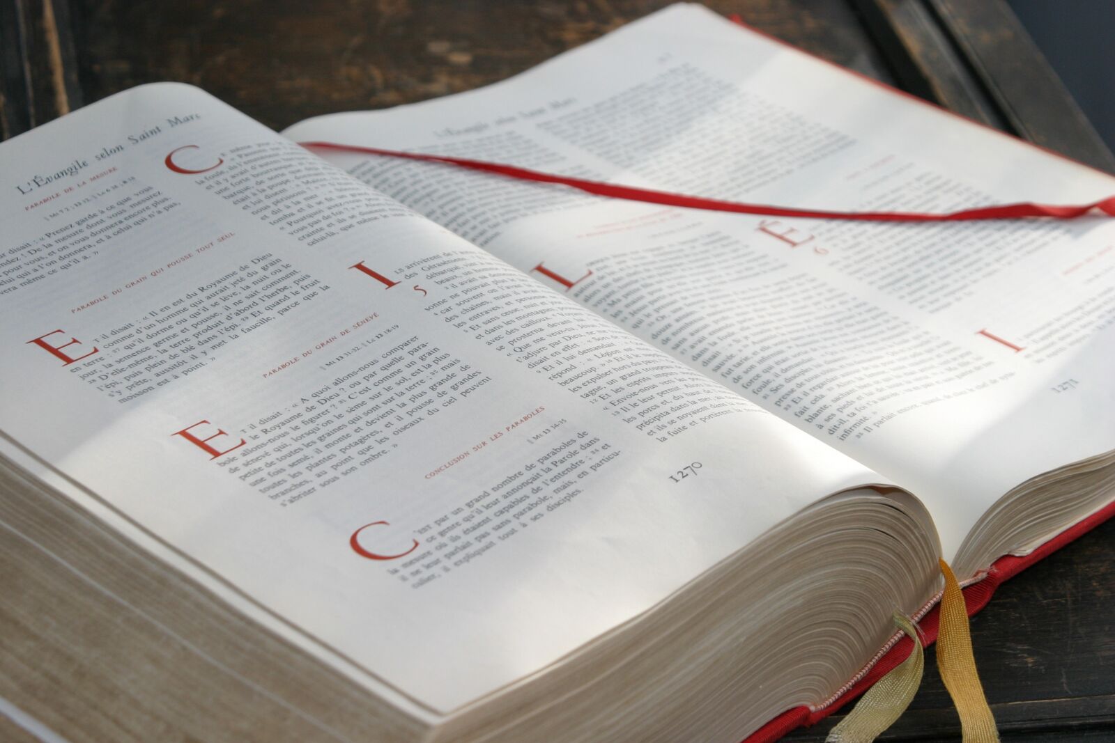Canon EOS 10D sample photo. Bible, word of god photography