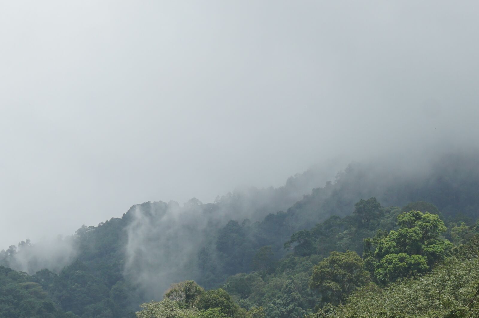 Sony E 16-50mm F3.5-5.6 PZ OSS sample photo. Mountains, the forests, nature photography
