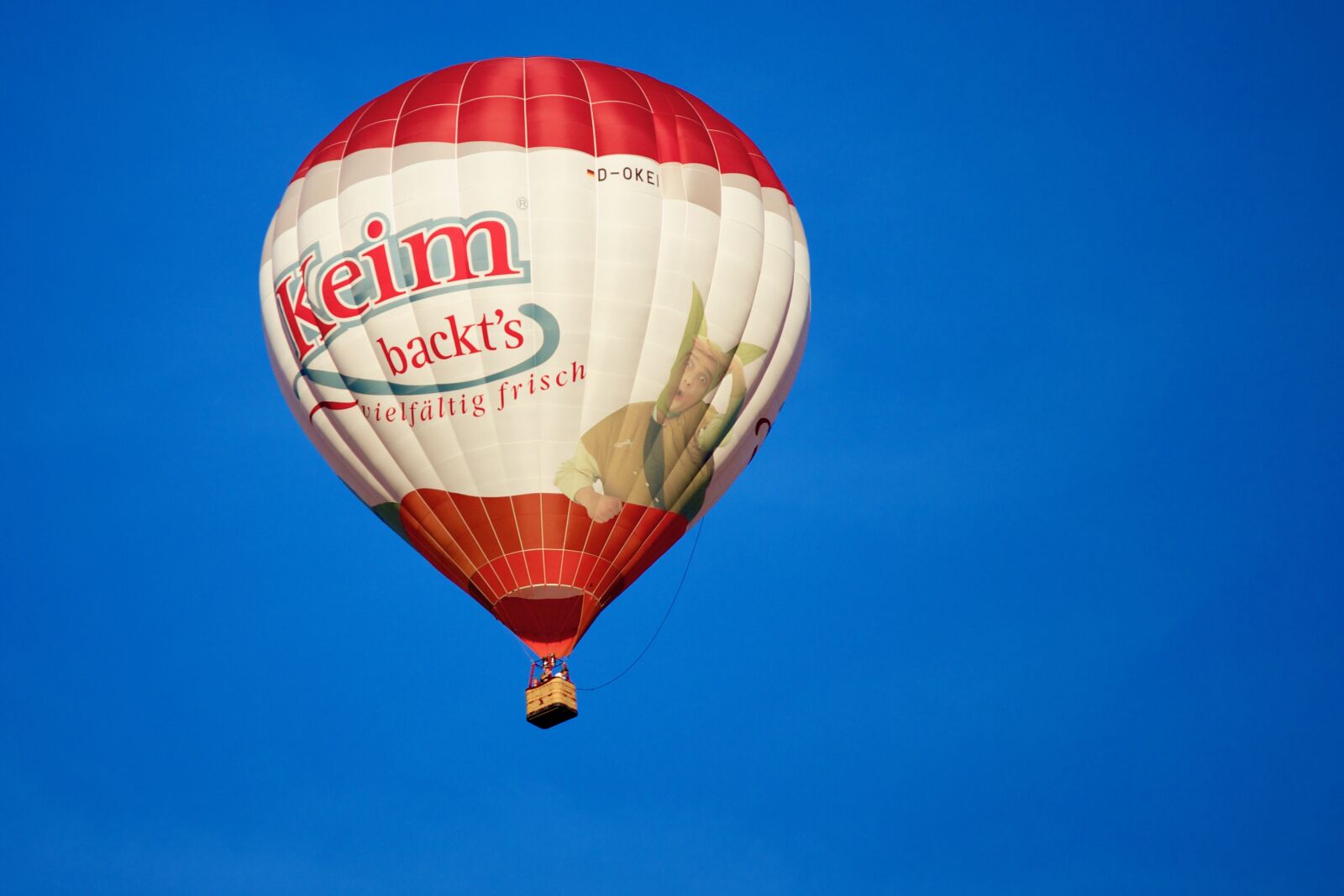 Canon EF-S 55-250mm F4-5.6 IS II sample photo. Balloon, germ, baker photography