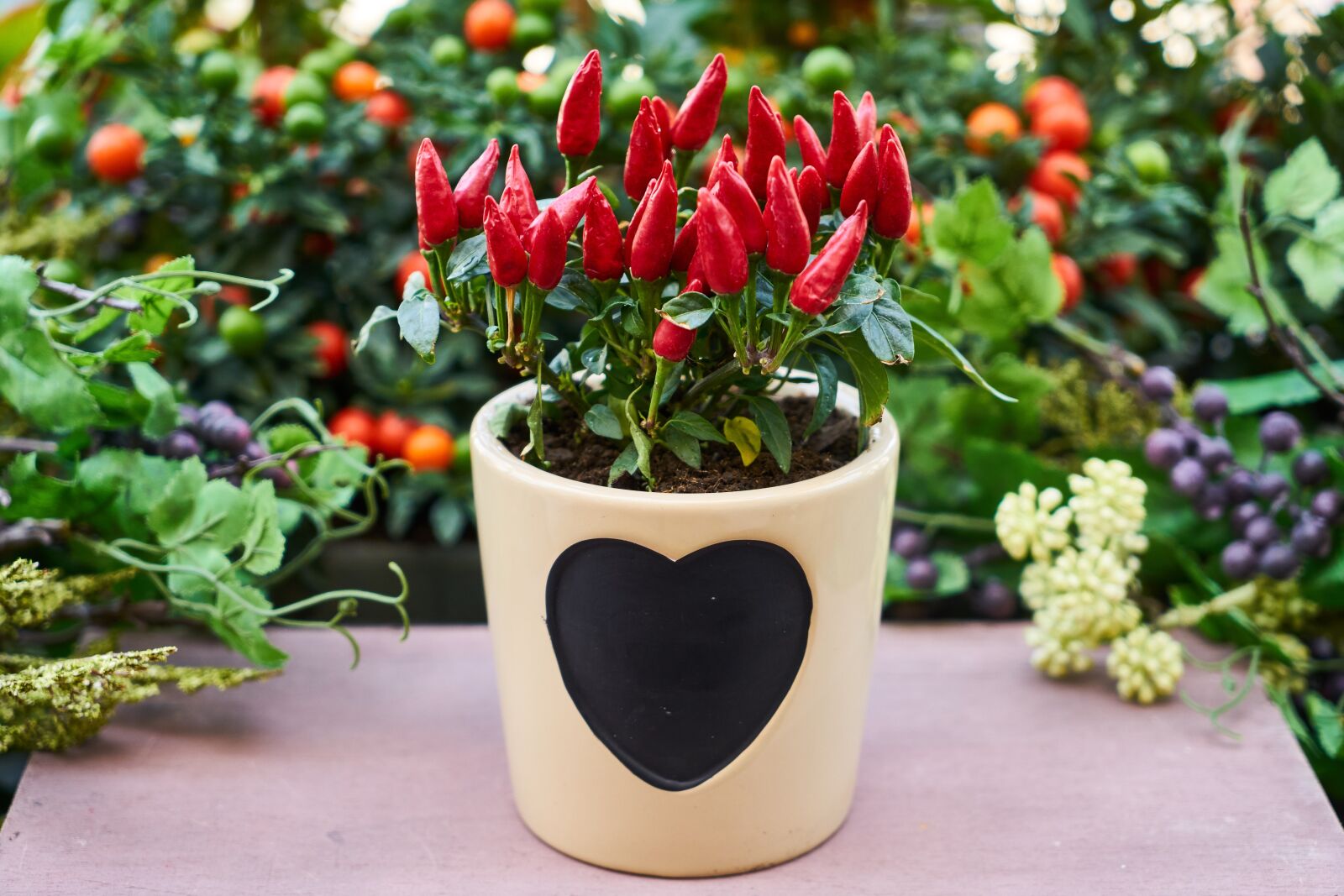 Sony a7R II sample photo. Flower, flowerpot, nature photography
