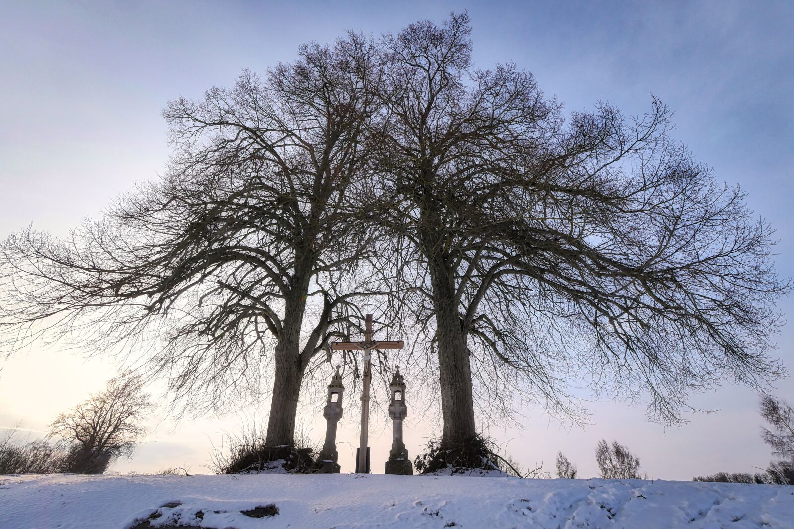 Panasonic Lumix DMC-GX8 sample photo. Winter, snow, tree photography