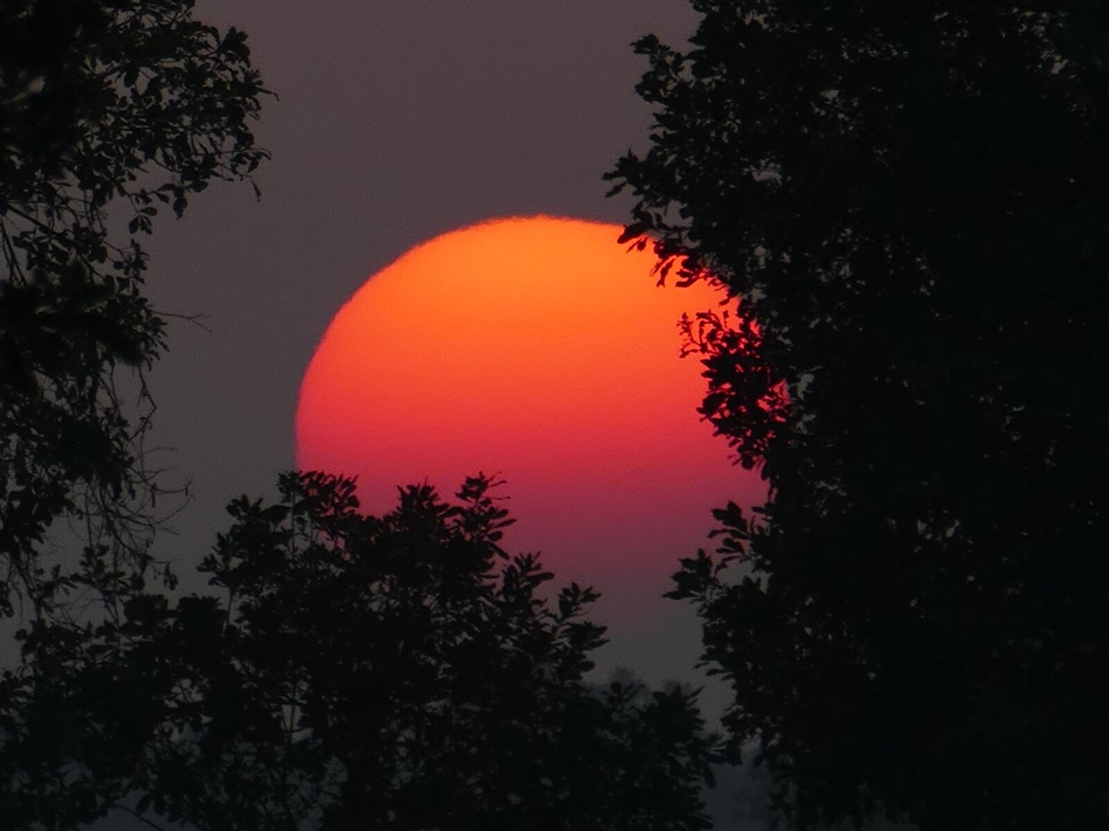 Panasonic Lumix DMC-FZ1000 sample photo. Sunset, red, sky photography