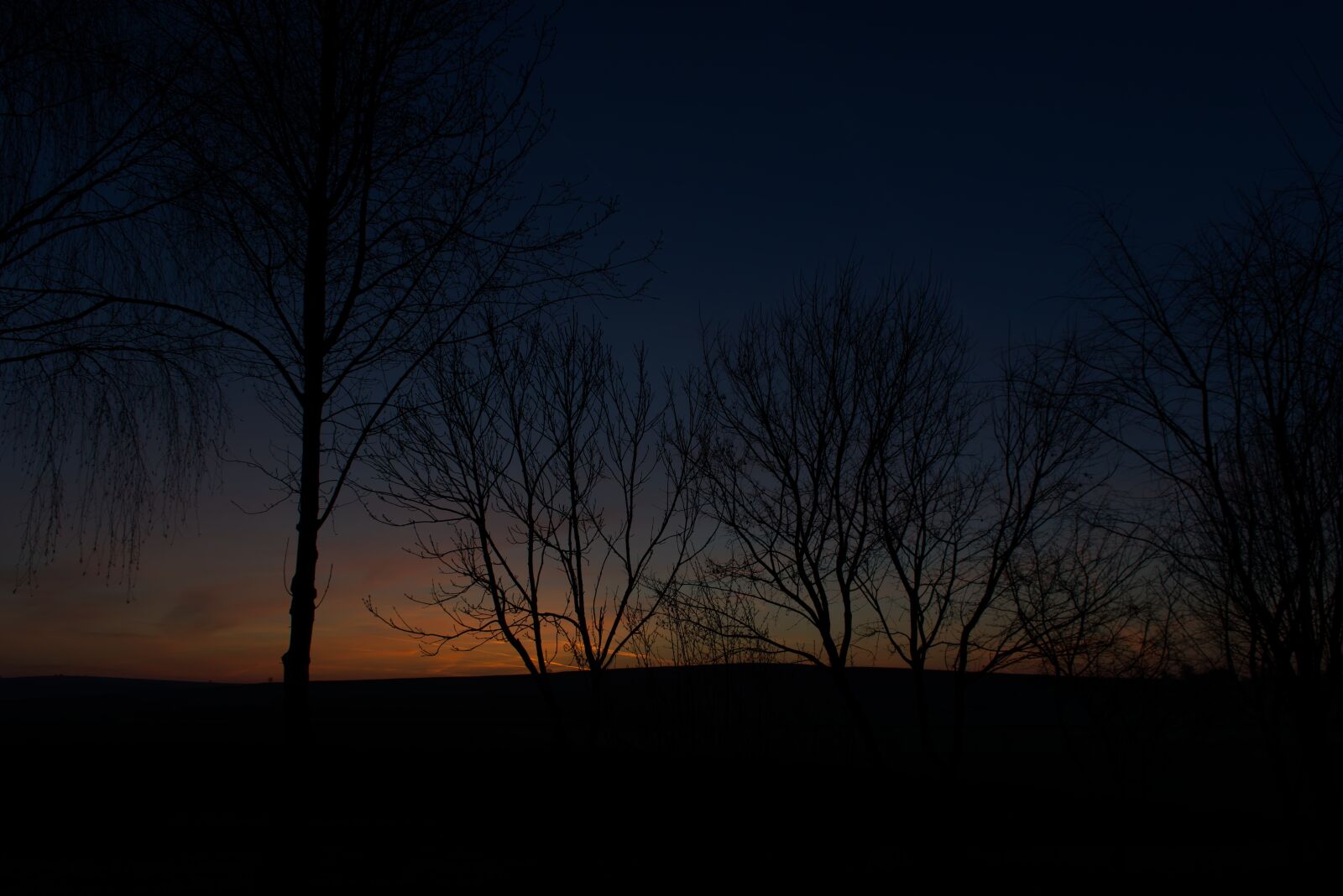 Nikon D5500 sample photo. Morning, landscape, nature photography