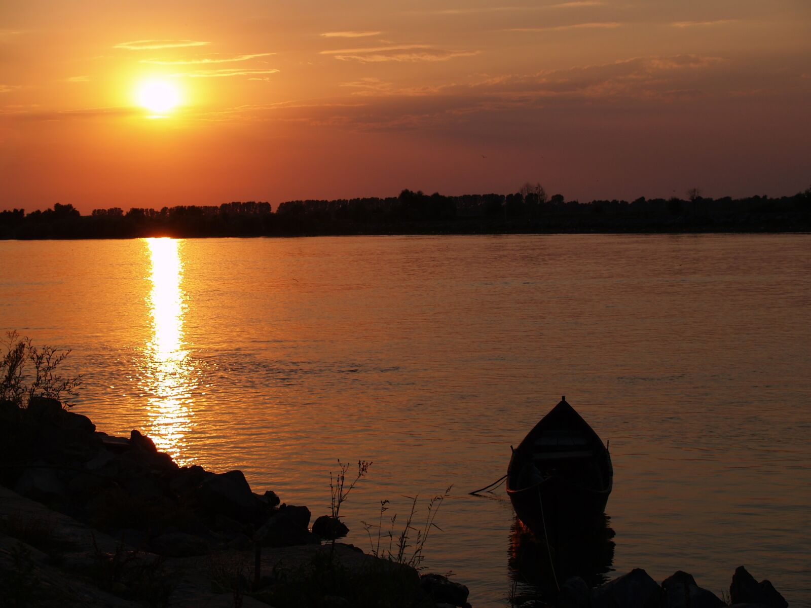 Olympus E-500 (EVOLT E-500) sample photo. Romania, danube delta, delta photography