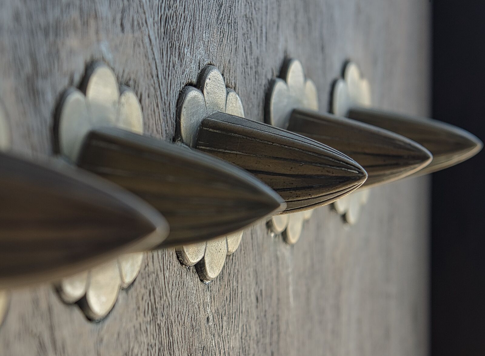 Nikon D800 sample photo. Door, knobs, handle photography