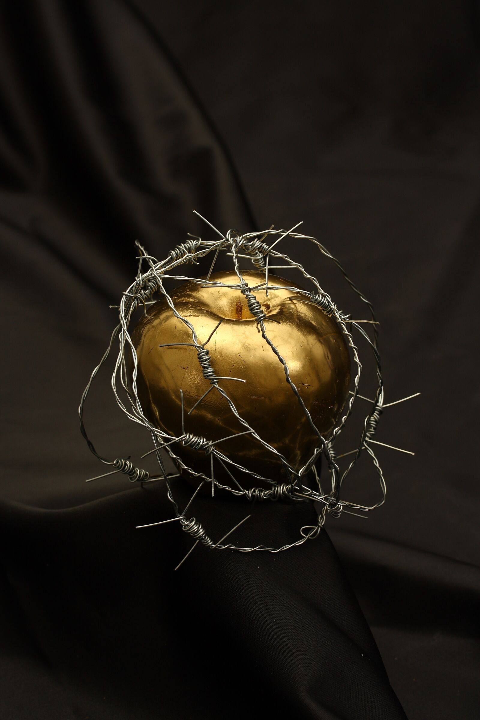 Canon EOS 40D sample photo. Apple, barbed wire, dea photography