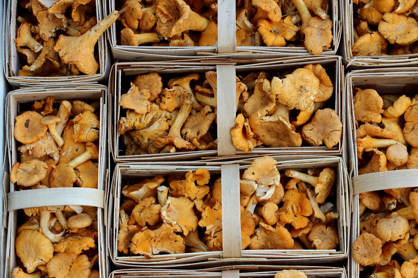 Canon EOS 700D (EOS Rebel T5i / EOS Kiss X7i) sample photo. Mushrooms, chanterelles, market photography