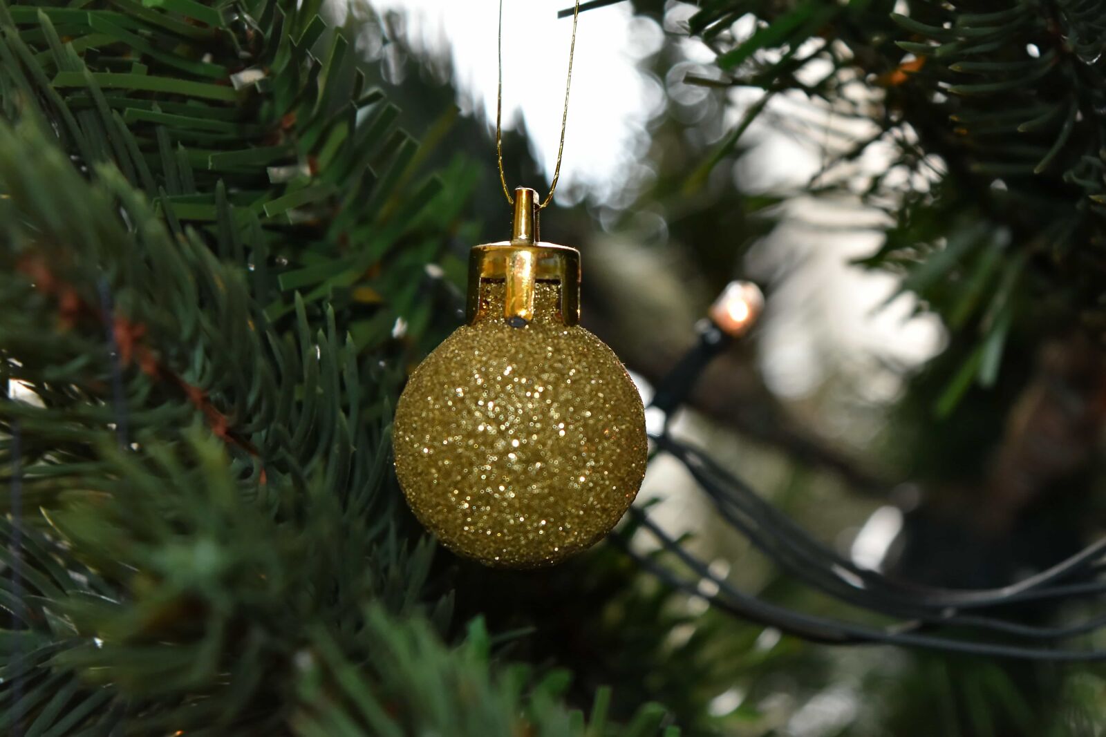 Nikon D5500 sample photo. Christmas, christmas tree, golden photography