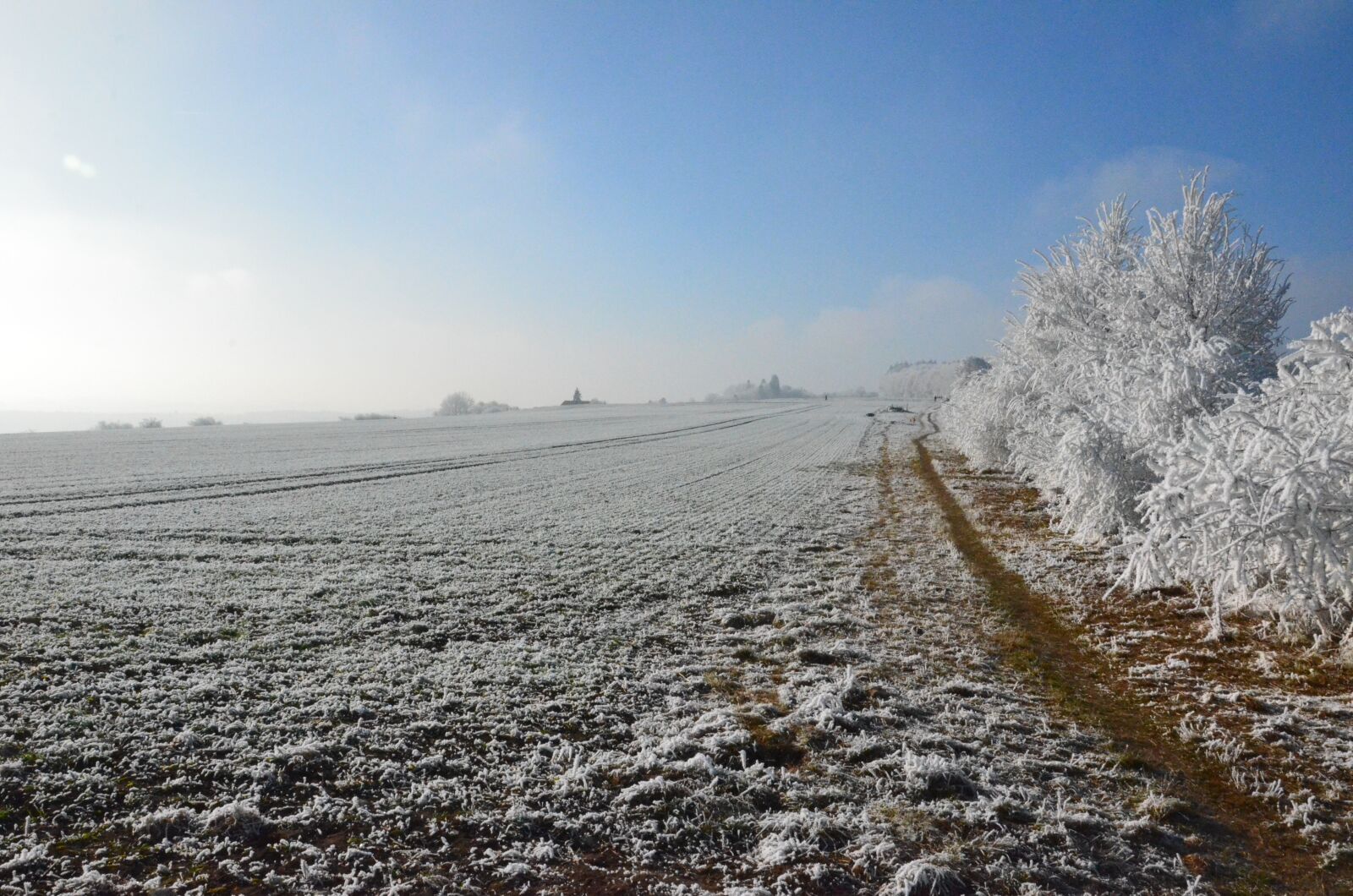 Nikon D7000 sample photo. Snow, sun, winter photography