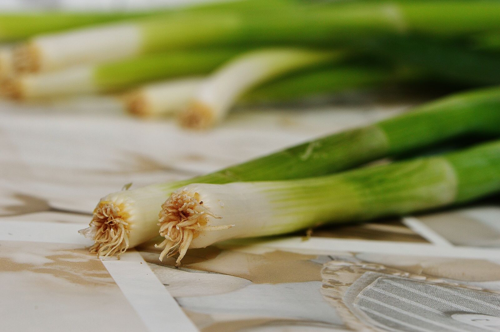 Nikon D3200 sample photo. Spring onions, leek, delicious photography