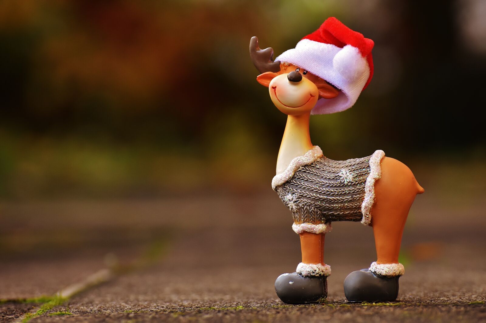 Nikon D7200 sample photo. Moose, christmas, christmas motif photography