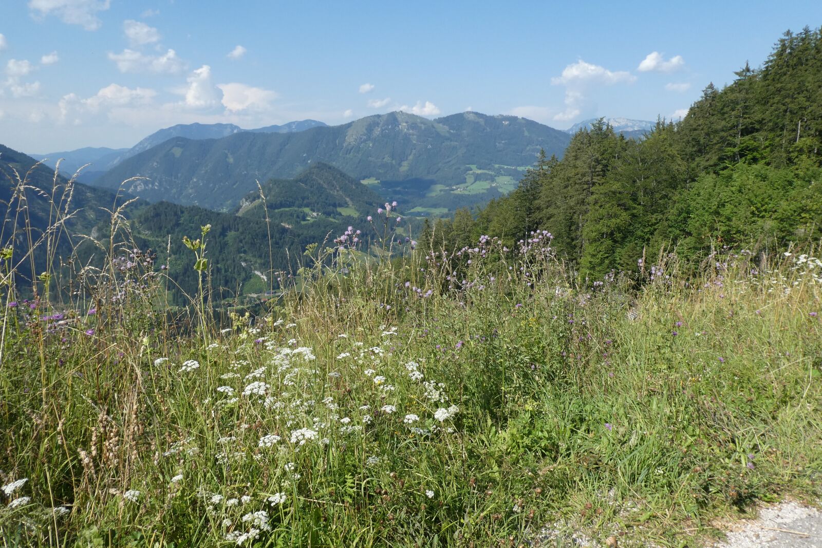 Panasonic Lumix DC-ZS70 (Lumix DC-TZ90) sample photo. Mountains, austria, holiday photography