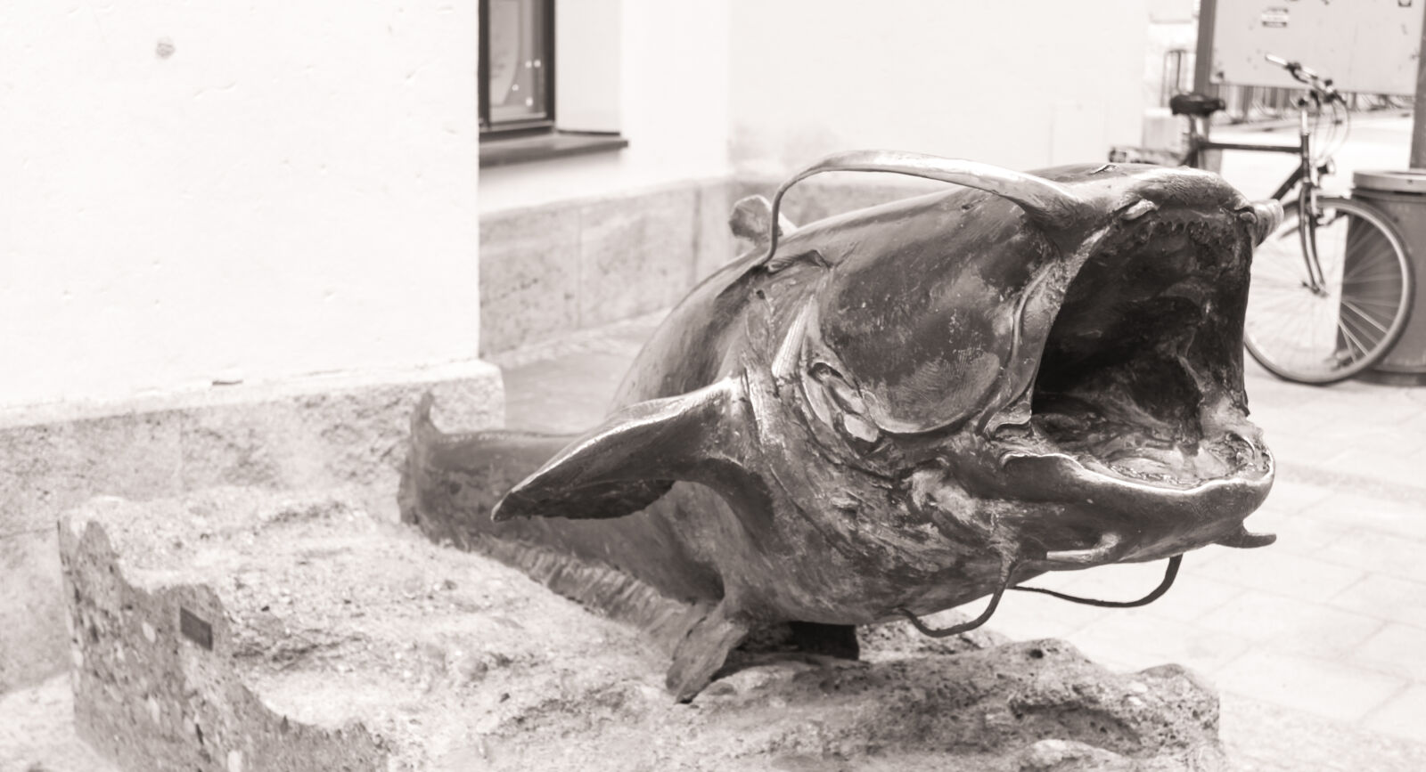 Canon EOS 500D (EOS Rebel T1i / EOS Kiss X3) sample photo. Beautiful, culture, fish, metal photography