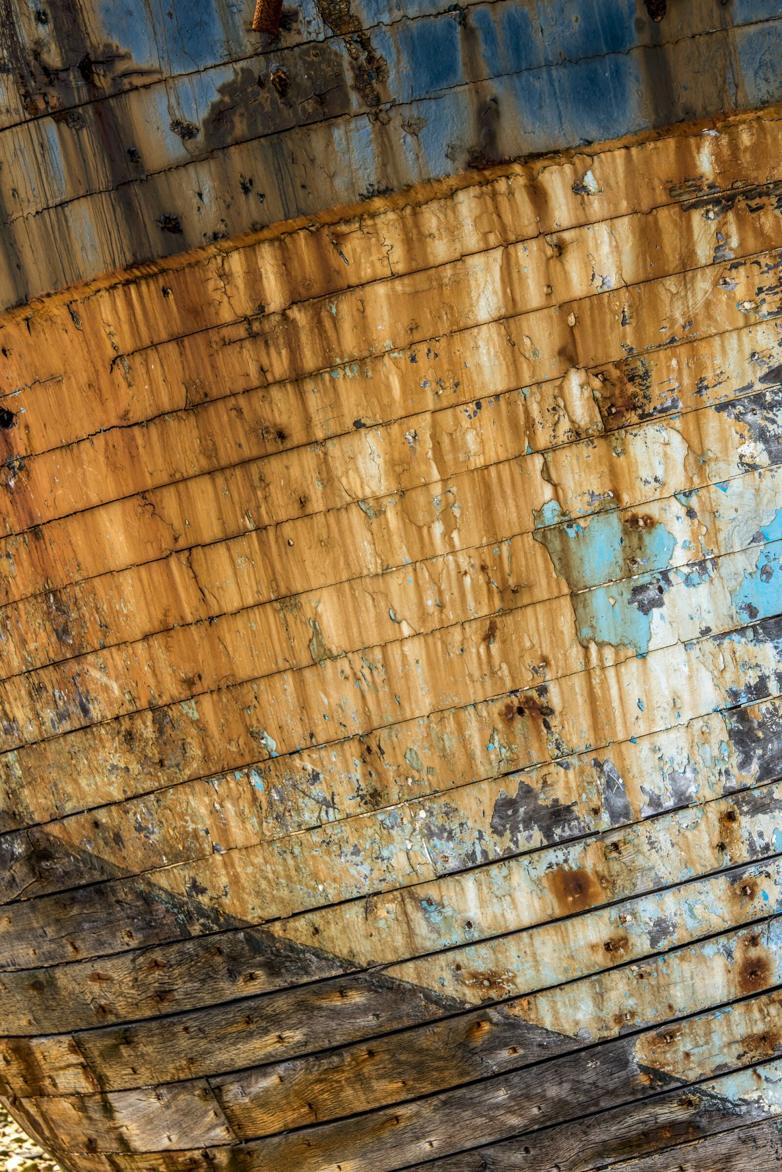 Nikon D610 sample photo. Texture, wood, peeling paint photography