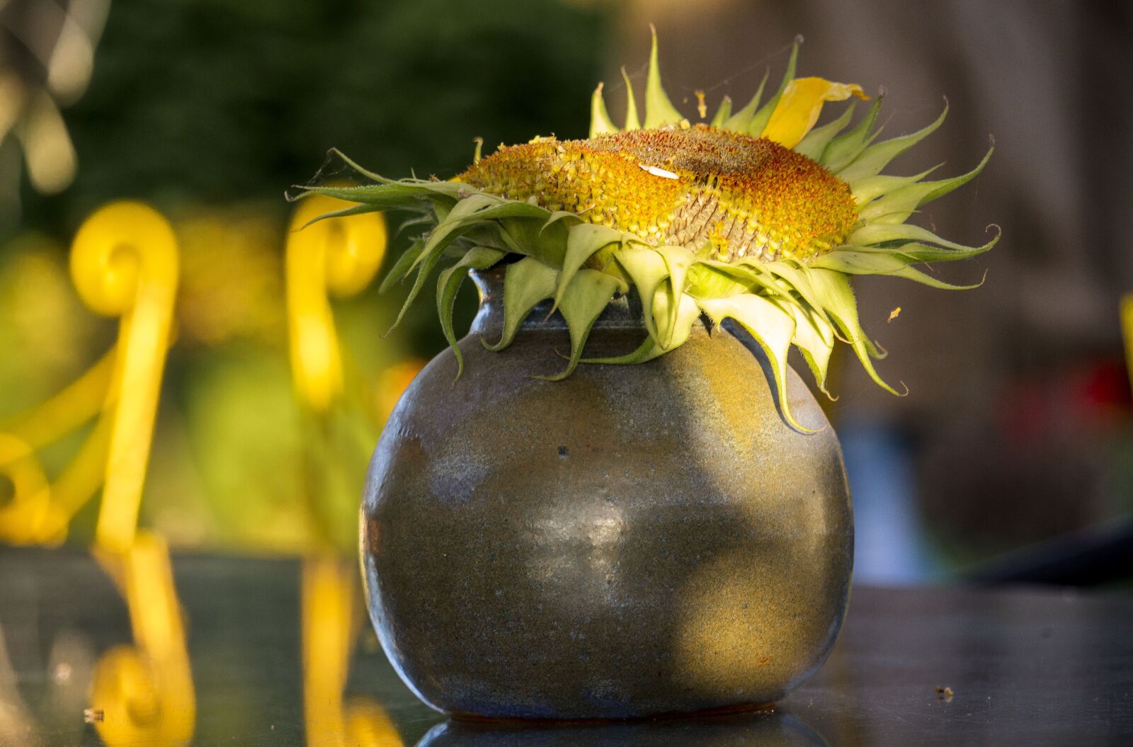 Canon EF-S 55-250mm F4-5.6 IS STM sample photo. Composition, sunflower, autumn photography