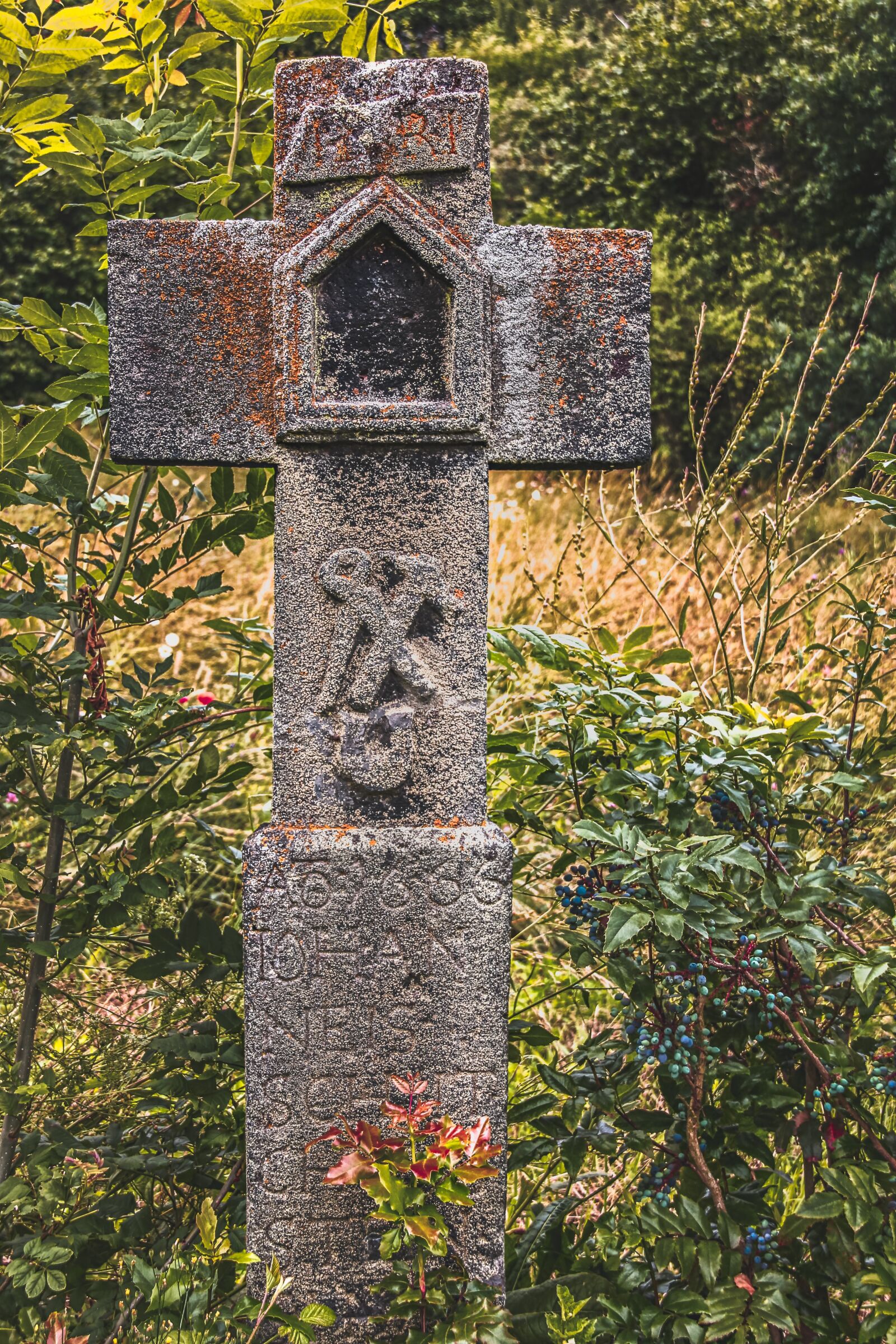 Canon EOS 550D (EOS Rebel T2i / EOS Kiss X4) sample photo. Wayside cross, symbol, characters photography