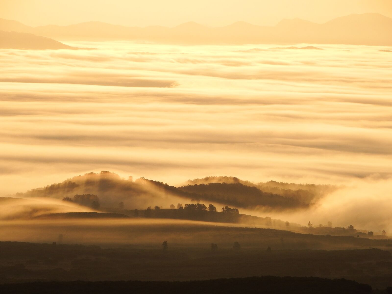 Fujifilm FinePix S1 sample photo. Sunrise dawn mist, morning photography