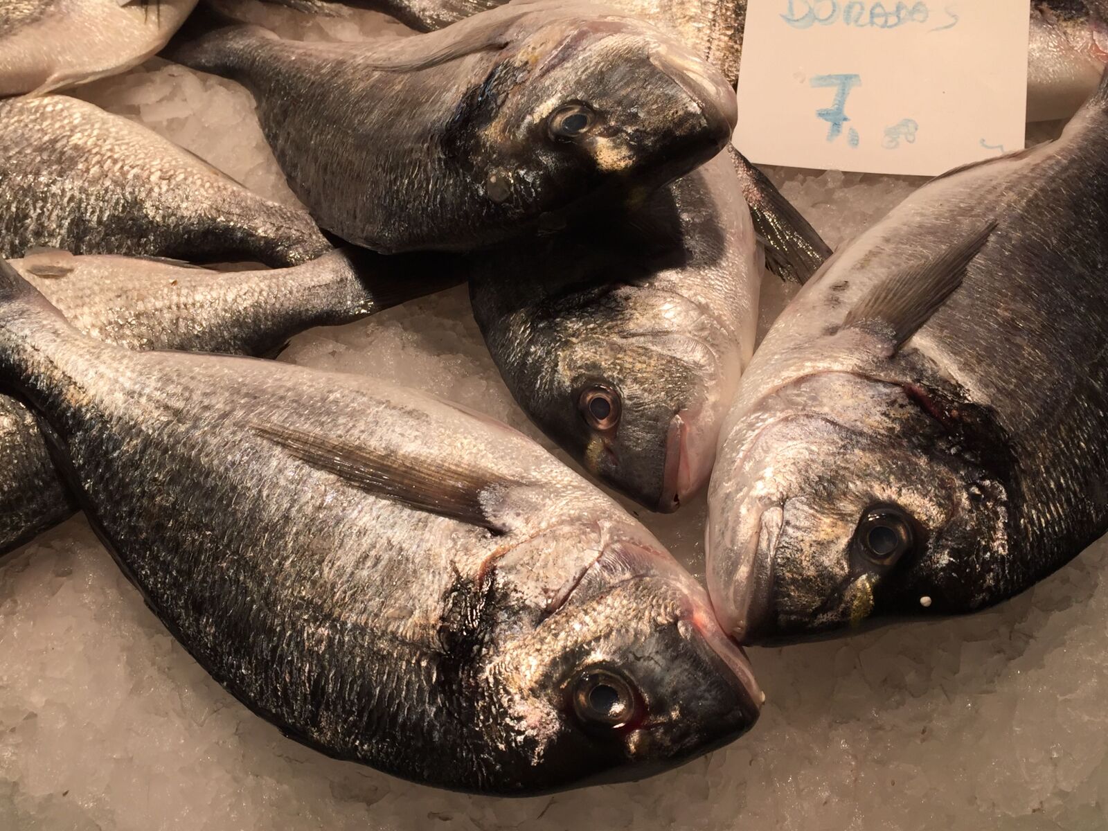 iPhone 6 back camera 4.15mm f/2.2 sample photo. Fish, spanish, market photography