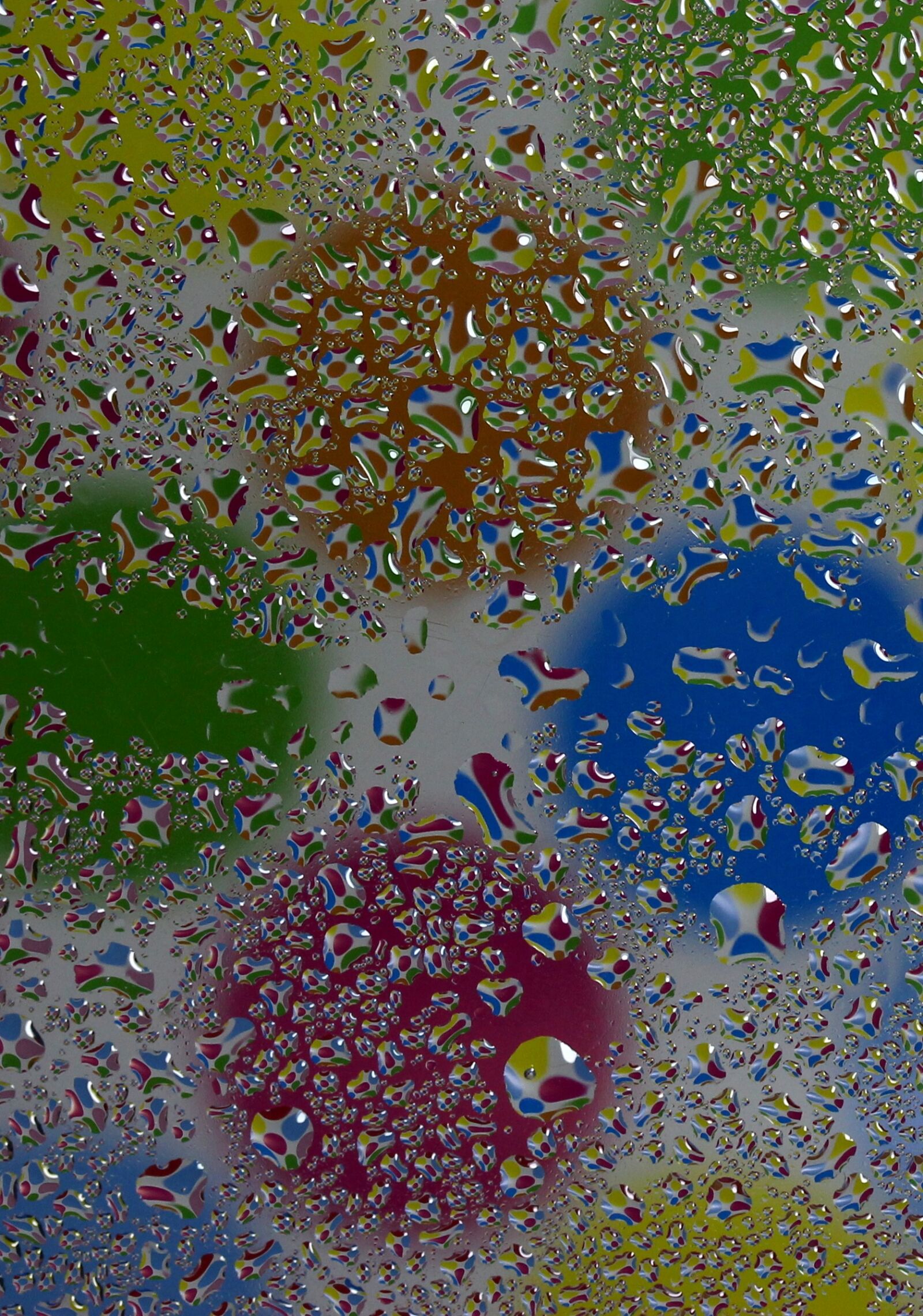Canon EF-S 60mm F2.8 Macro USM sample photo. Drops, refractive, coloring photography