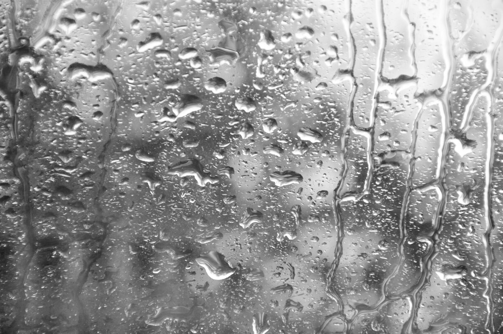 Nikon D90 sample photo. Disc, rain, drip photography