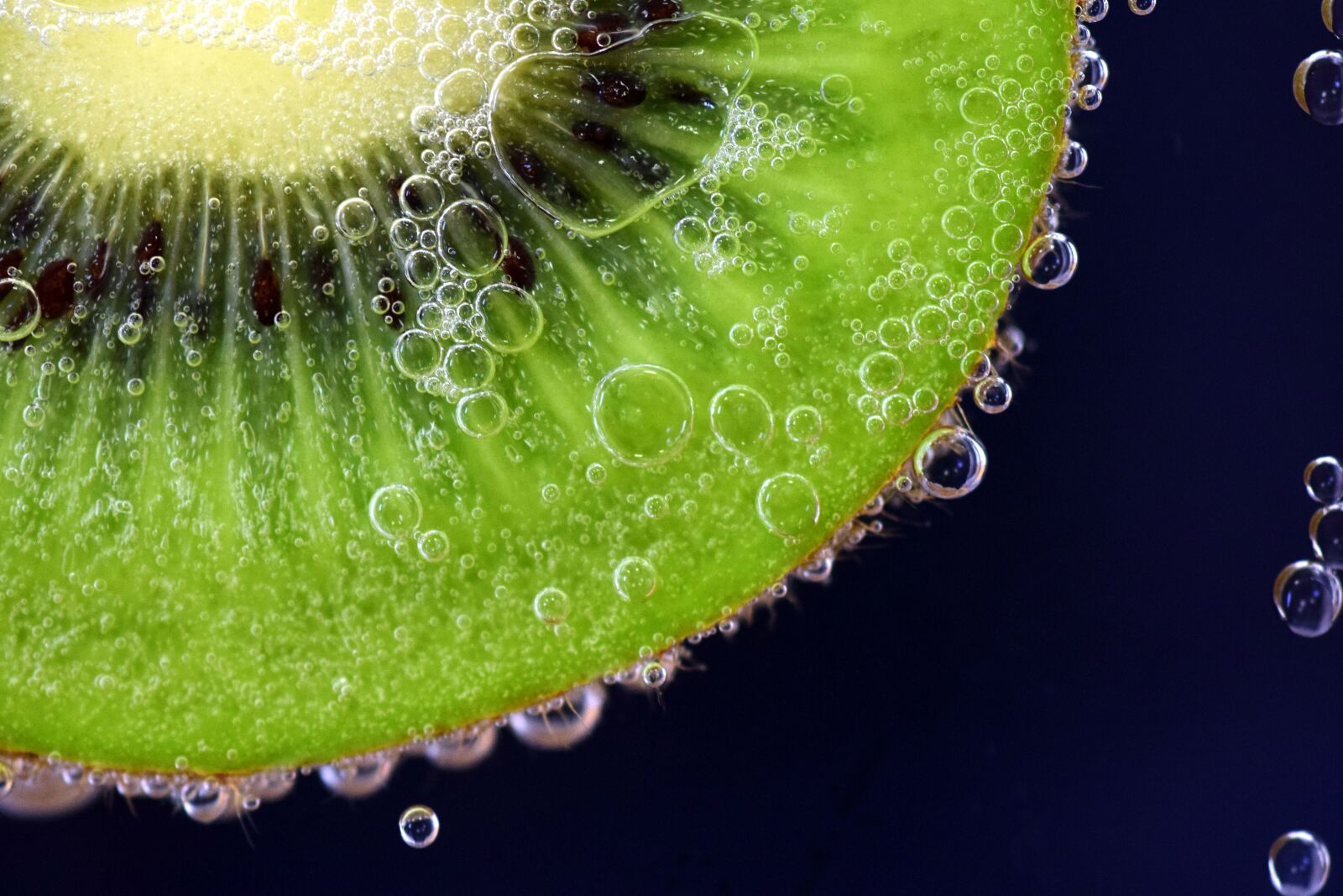 Nikon D3300 sample photo. Kiwi, kiwi under water photography