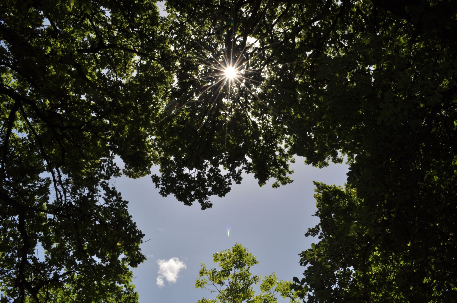 Nikon D5000 sample photo. Rays of the sun photography