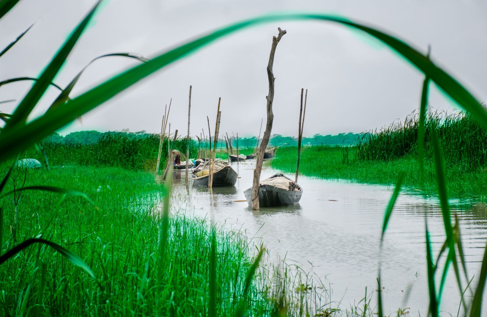 Nikon D7000 sample photo. Landscape, water, river photography
