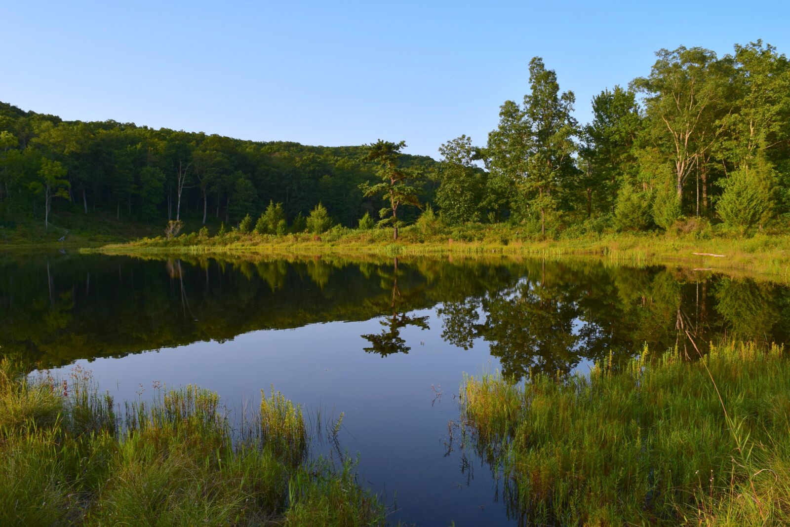 Nikon D3300 sample photo. Lake, reflection, park photography