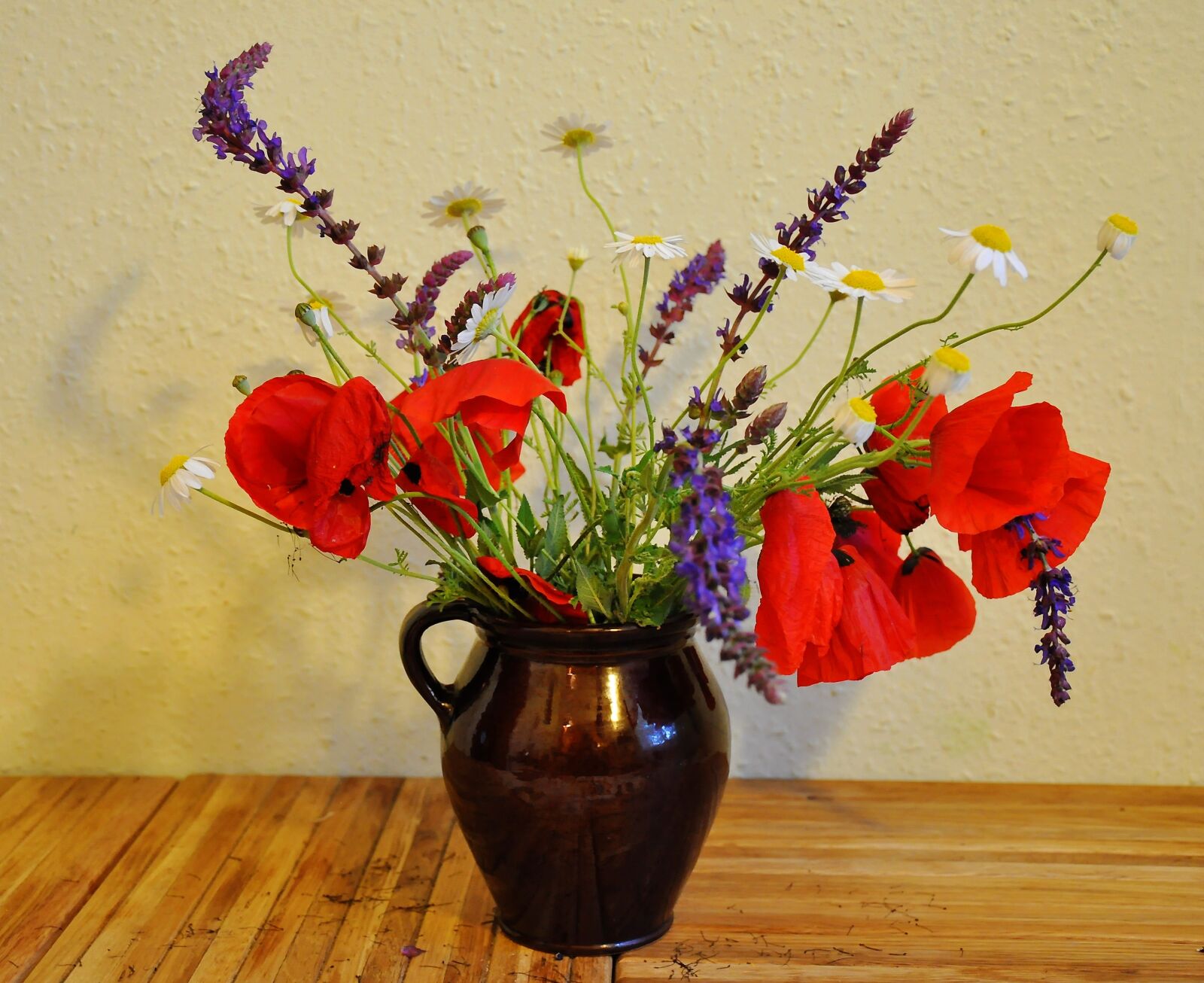 Nikon D90 sample photo. Spring, nature, poppy photography