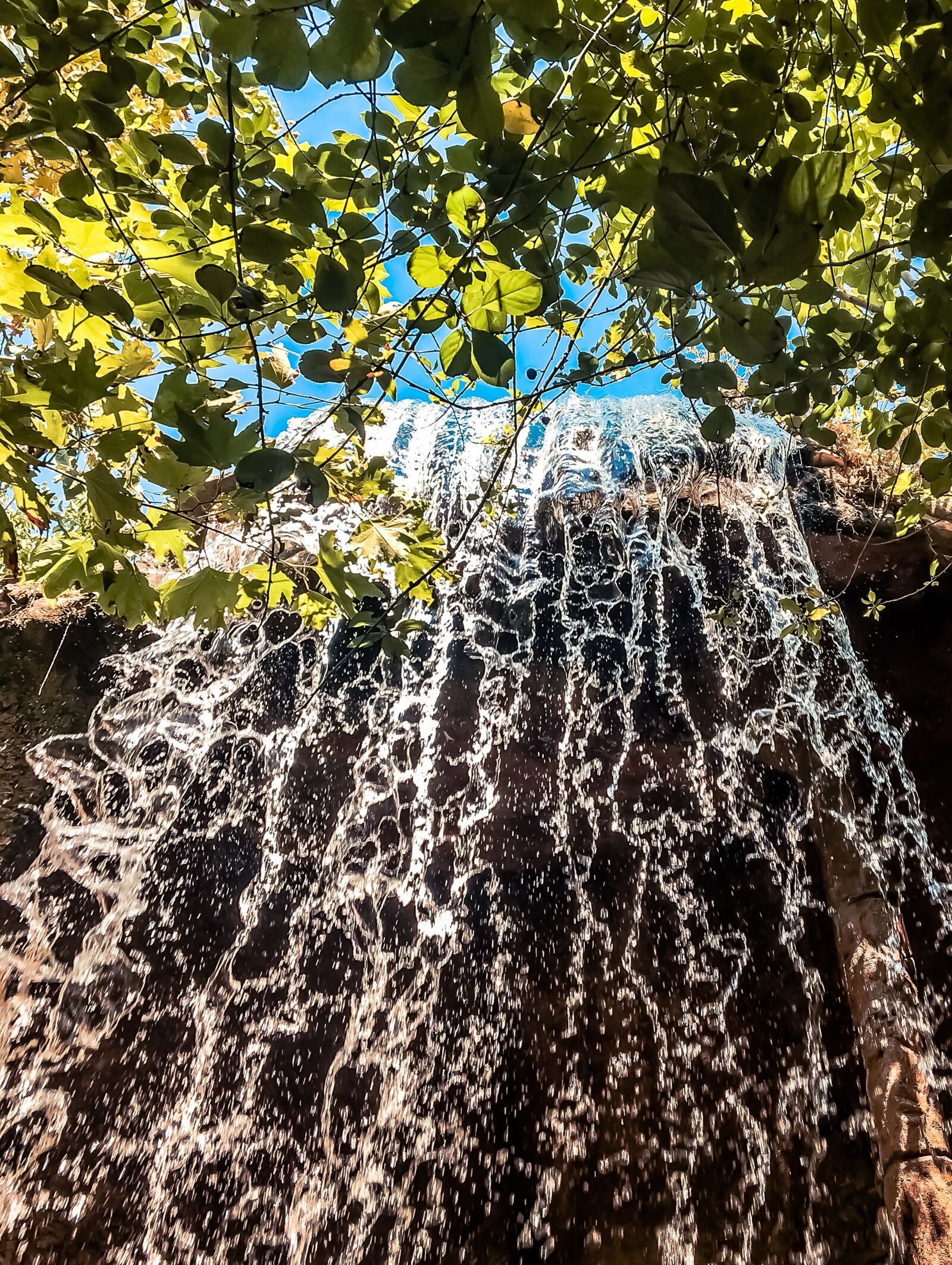 Apple iPhone 6s sample photo. Beauty, nature, day photography